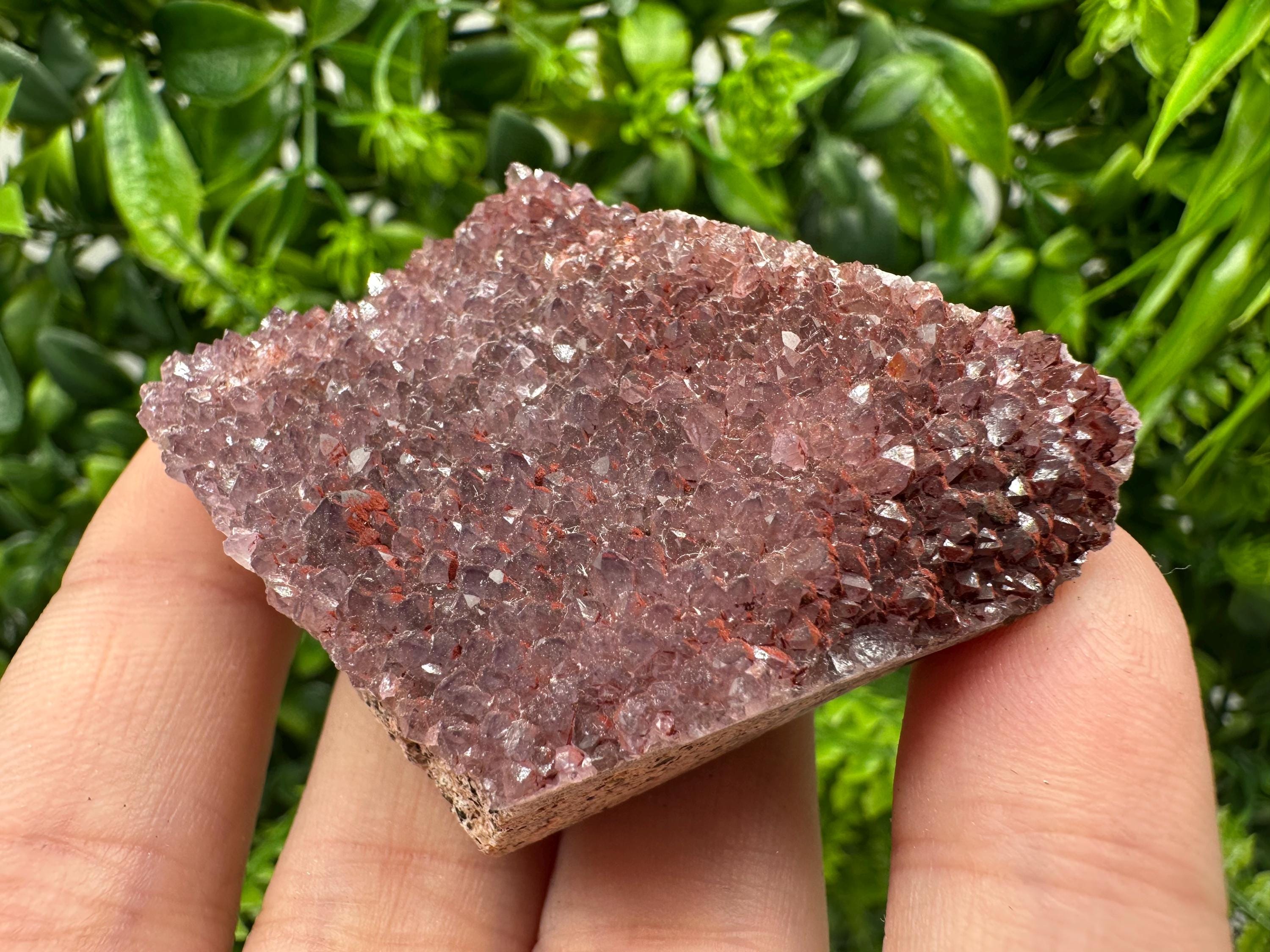 Alacam Amethyst Quartz Cluster, Turkish Mineral Specimen