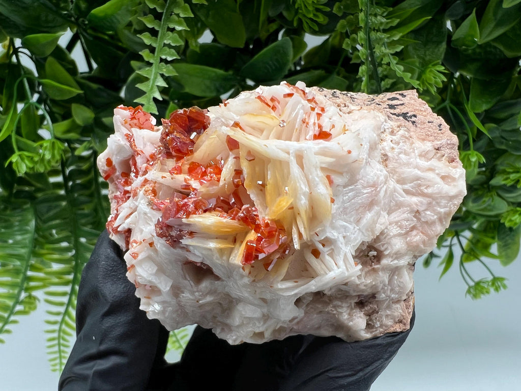 Red Vanadinite on Barite from Marocco,crystal minerals Speciment cluster Vanadinite crystal Vanadinite Geology Vanadinite cluster minerals