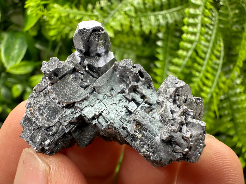 Skeleton Galena Cluster, Rare Morphology Crystal, 9th September Mine Bulgaria