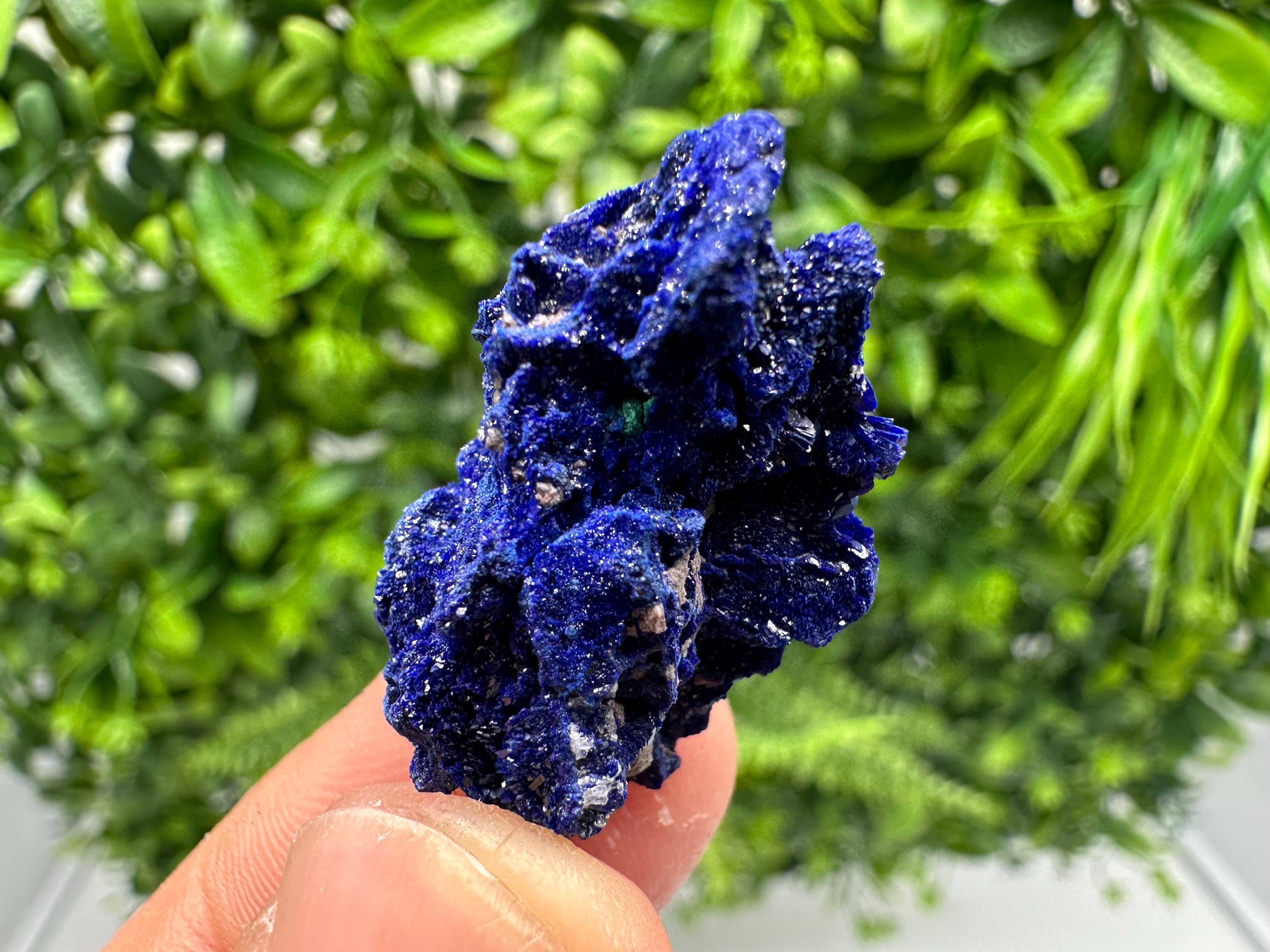 Crystallized Azurite-Kerrouchen,Morocco-Blue Azurite Specimen-High Quality Blue Azurite-Azurite Mineral Specimen, gemmy,lustrous of Azurite