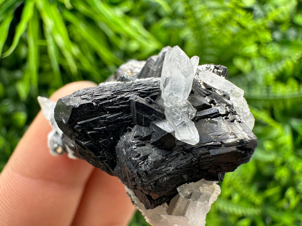 Sphalerite, Galena, Pyrite on Quartz Cluster - Borieva Mine, Bulgaria