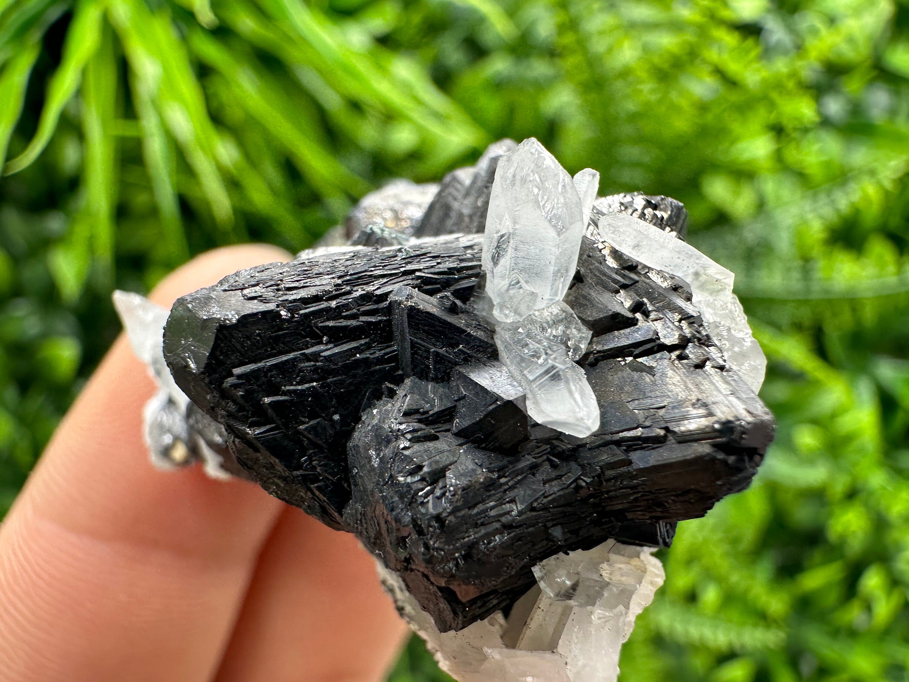 Sphalerite, Galena, Pyrite on Quartz Cluster - Borieva Mine, Bulgaria