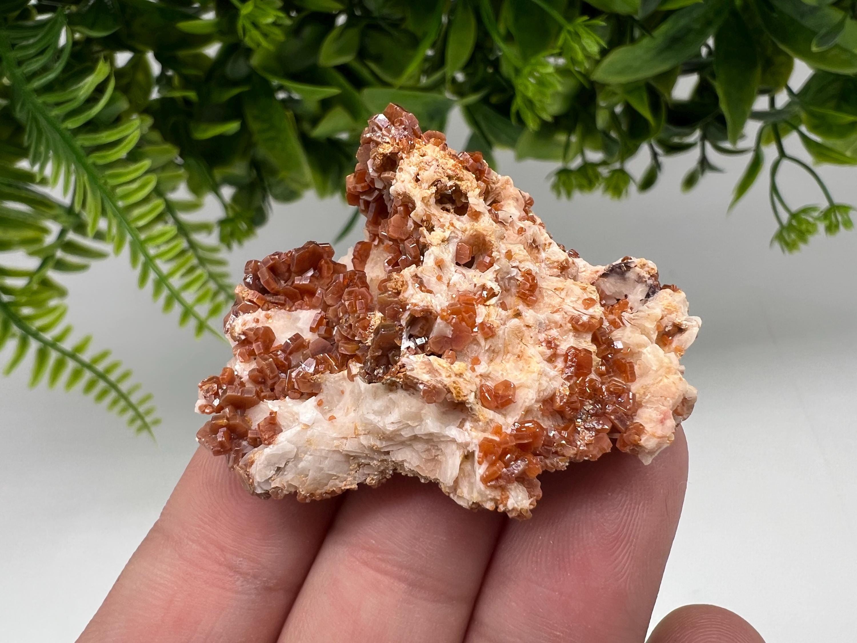 Red Vanadinite on Barite from Marocco,crystal minerals Speciment cluster Vanadinite crystal Vanadinite Geology Vanadinite cluster minerals