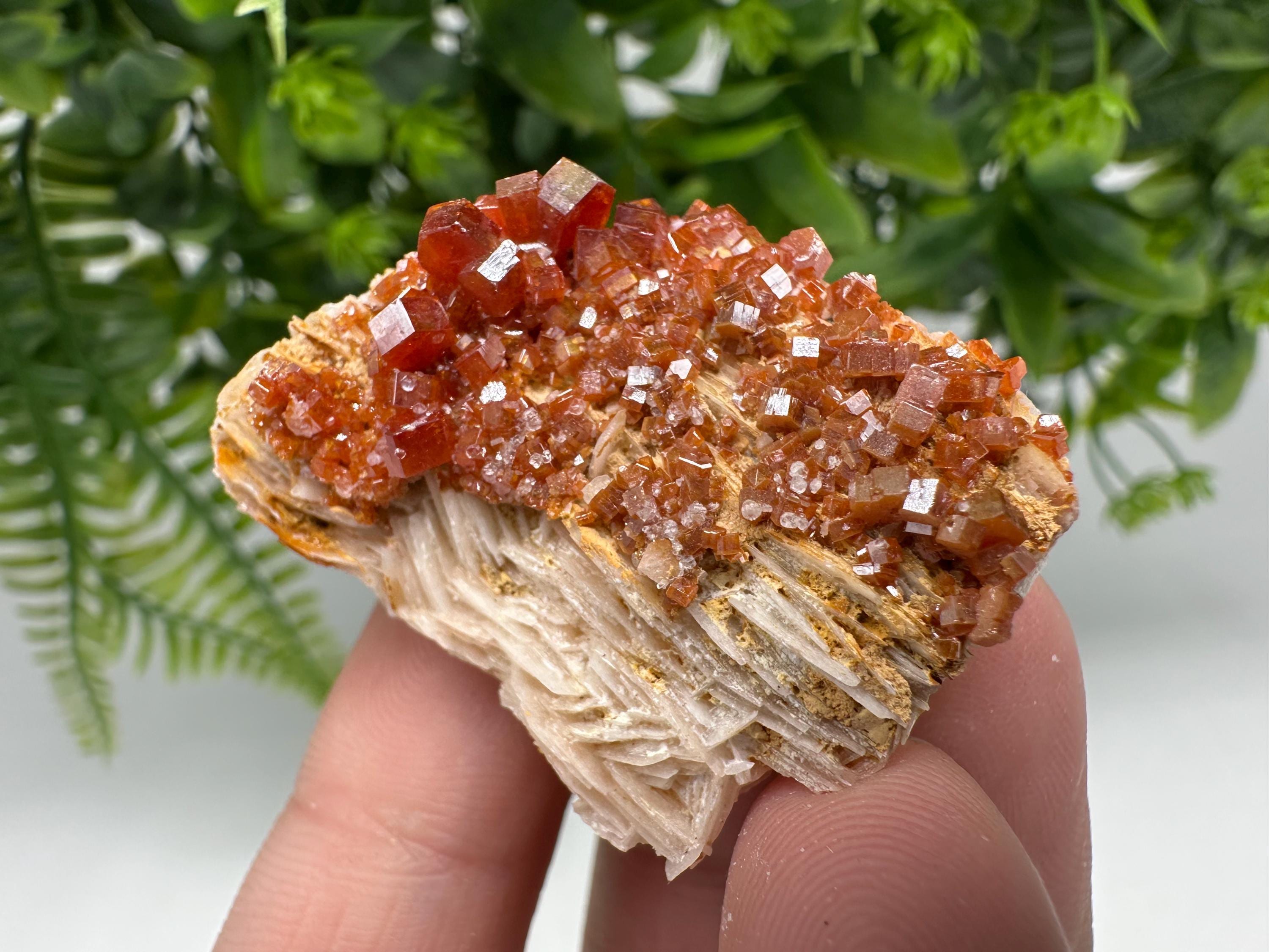 Red Vanadinite Crystal Cluster on Barite Matrix from Morocco