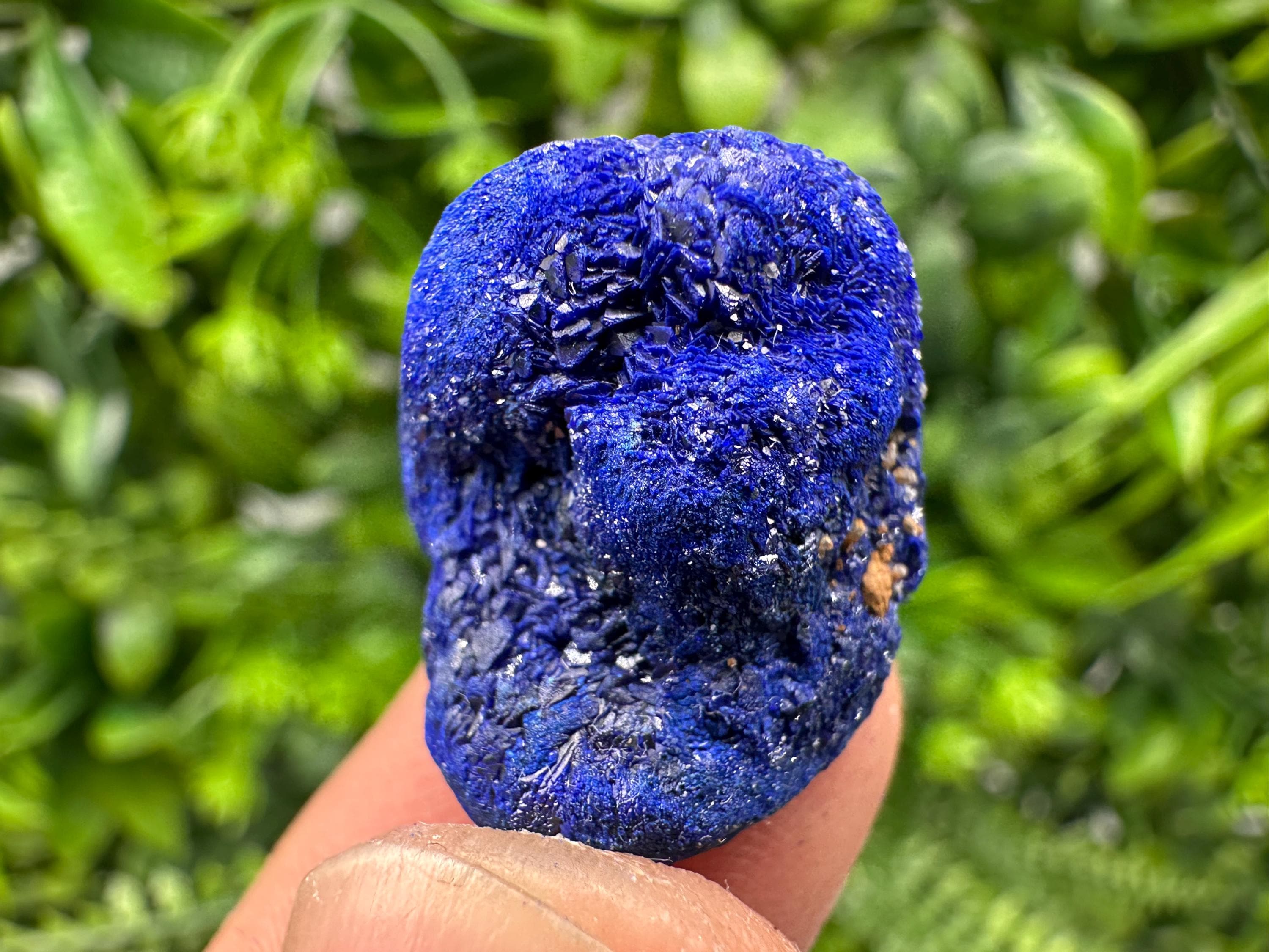Crystallized Azurite-Kerrouchen,Morocco-Blue Azurite Specimen-High Quality Blue Azurite-Azurite Mineral Specimen, gemmy,lustrous of Azurite
