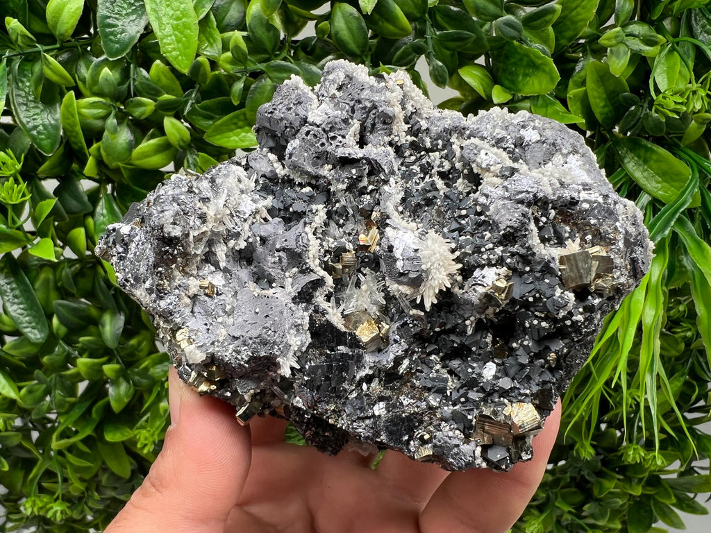 Galena Sphalerite Quartz Pyrite Mineral Specimen: Madan Bulgaria Rare Crystal