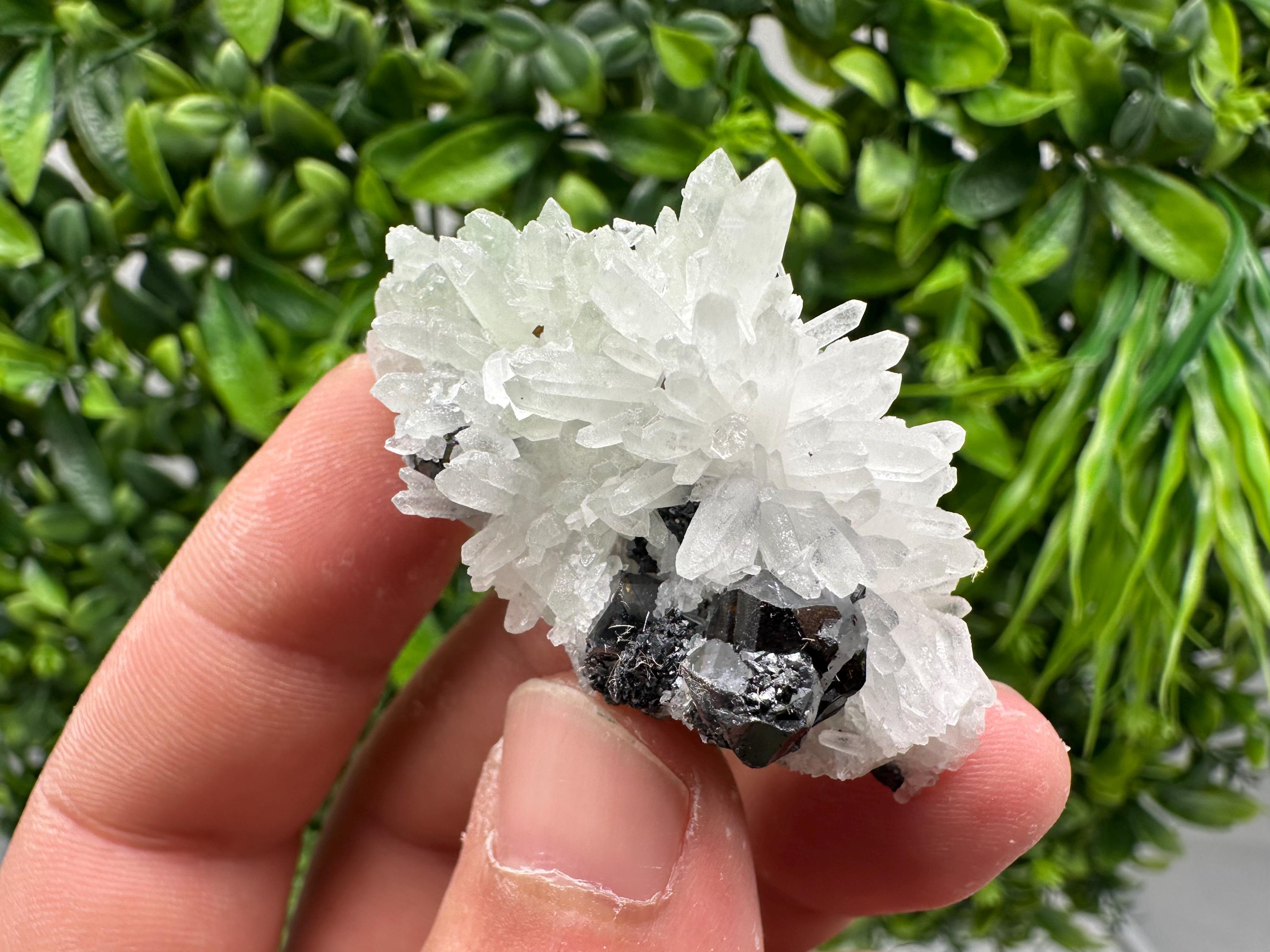 Sphalerite on Quartz, Bulgaria Mineral Specimen, Home Decor Crystal