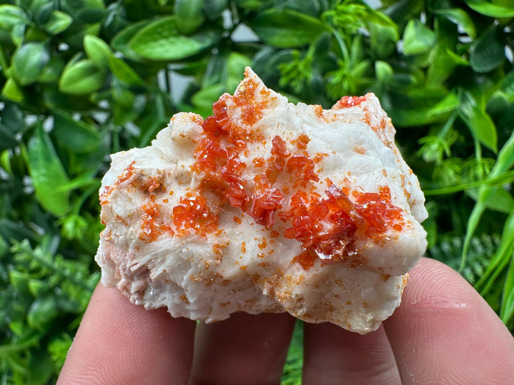 Red Vanadinite Crystal on Barite, Morocco Mineral Specimen