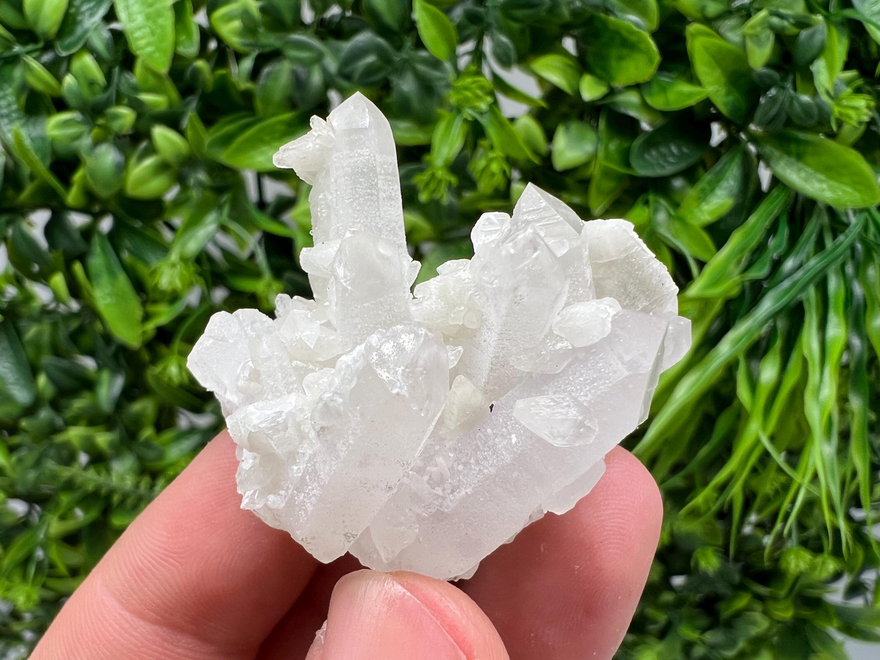 Calcite on Green Quartz: Djurcovo Mine, Bulgaria Healing Crystal