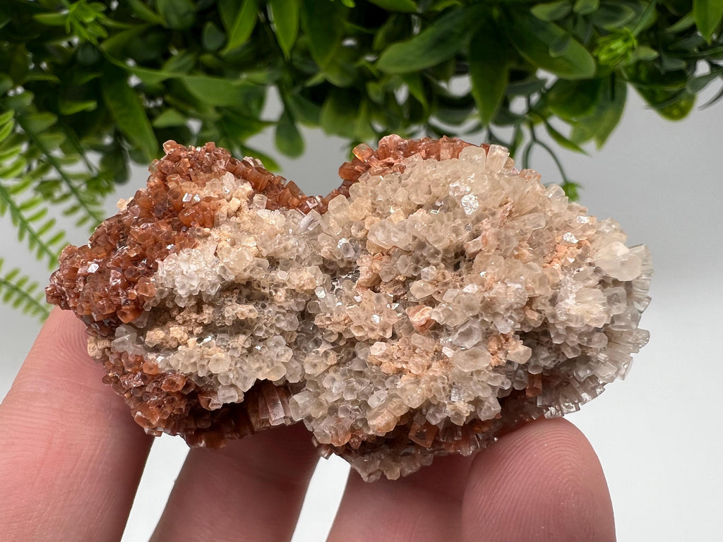 Large Aragonite Sputnik Cluster: Raw Moroccan Crystal Stone