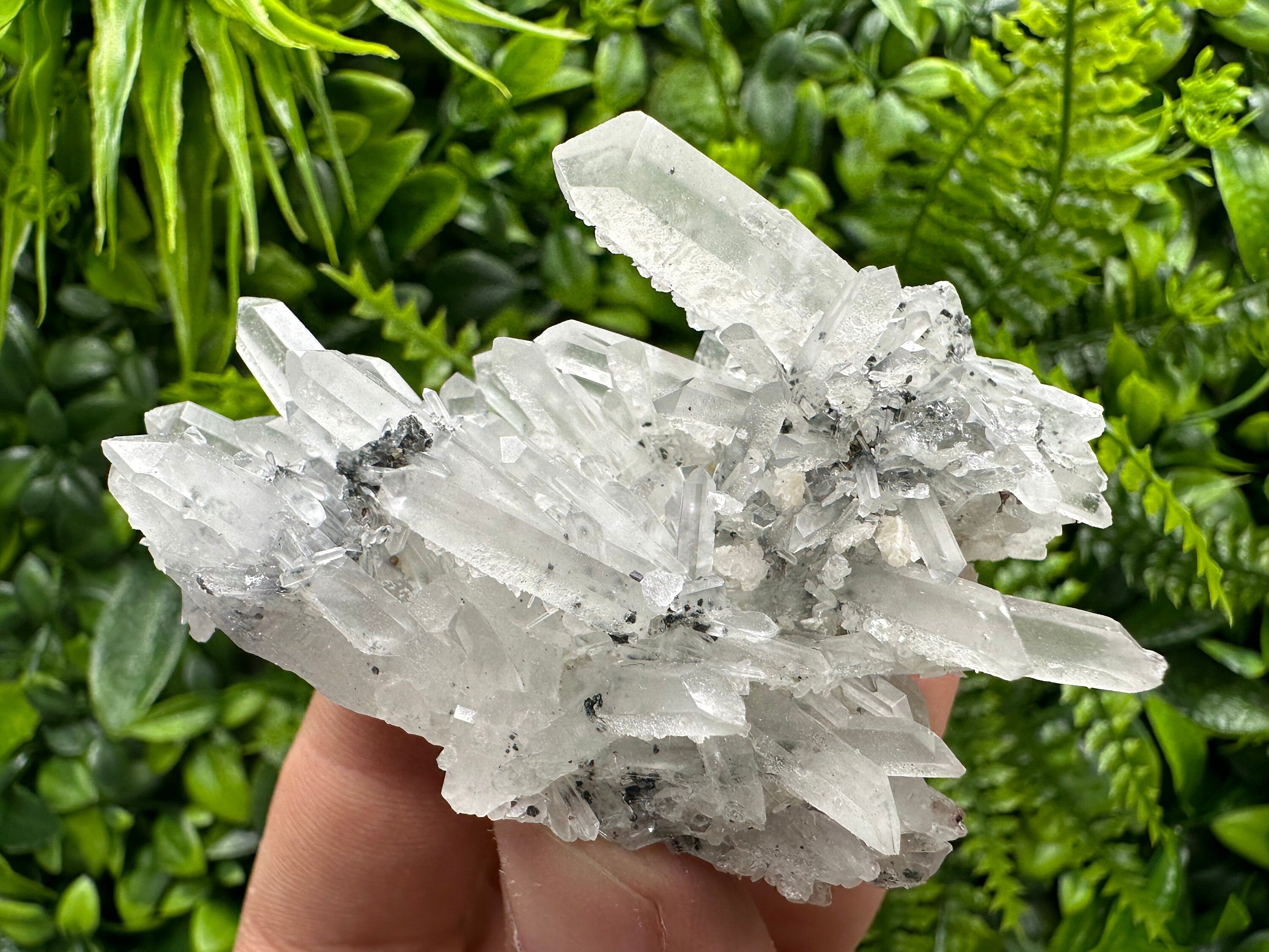 Quartz Calcite Chlorite Crystal: Borieva Mine, Bulgaria