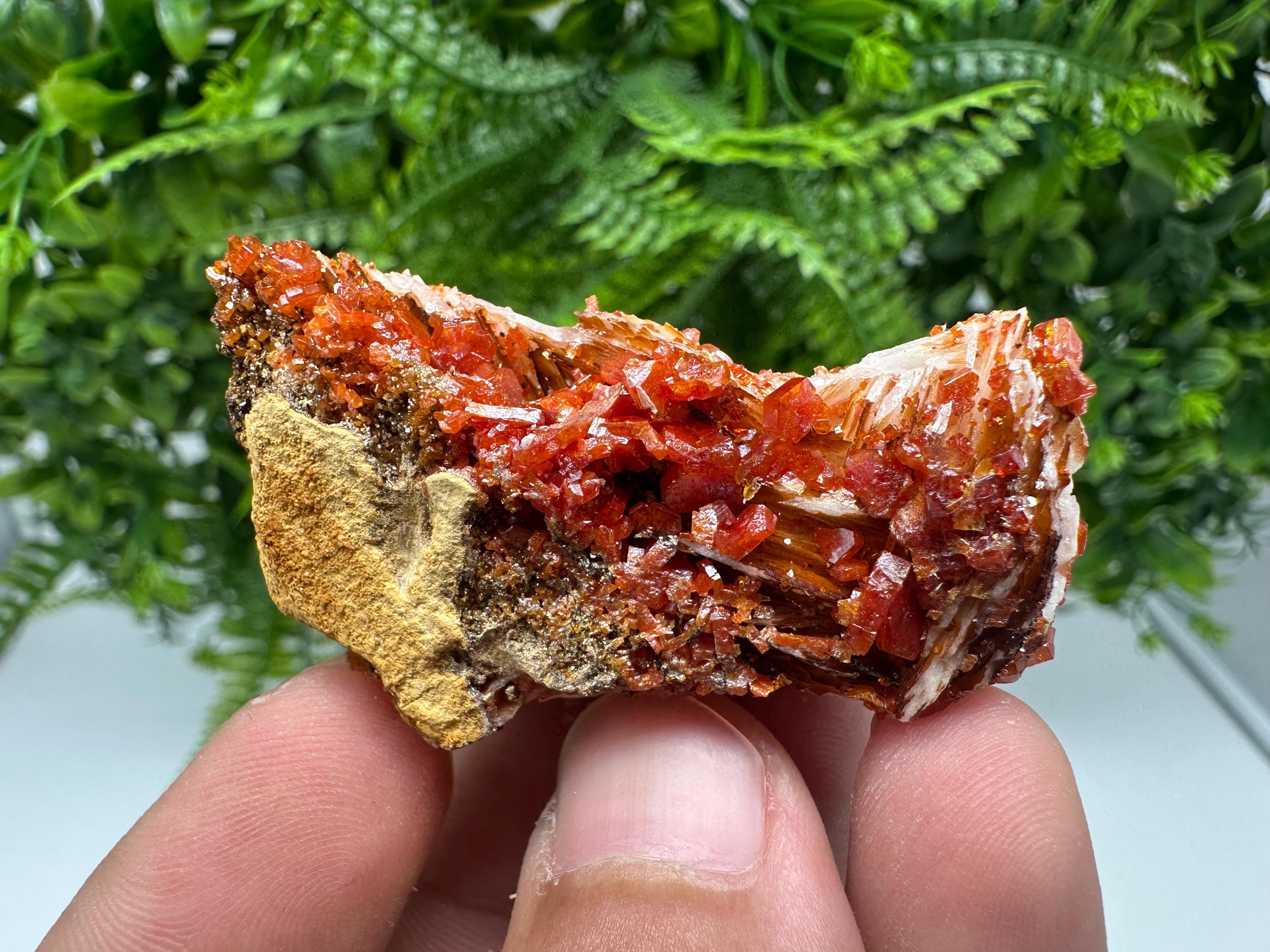 Red Vanadinite on Barite from Marocco,crystal minerals Speciment cluster Vanadinite crystal Vanadinite Geology Vanadinite cluster minerals