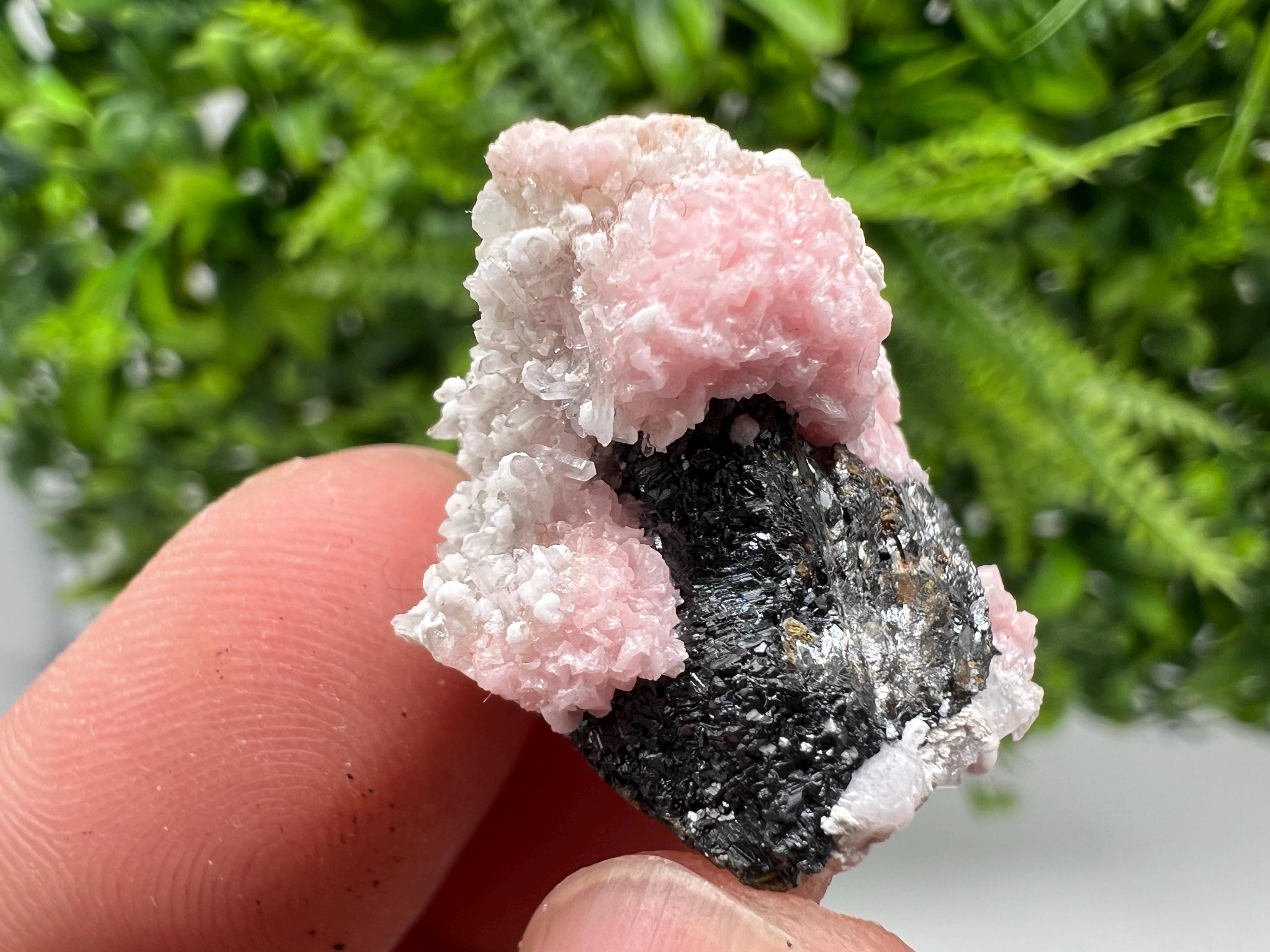Rhodochrosite on Quartz: Pink Mineral Specimen, Starnica Mine