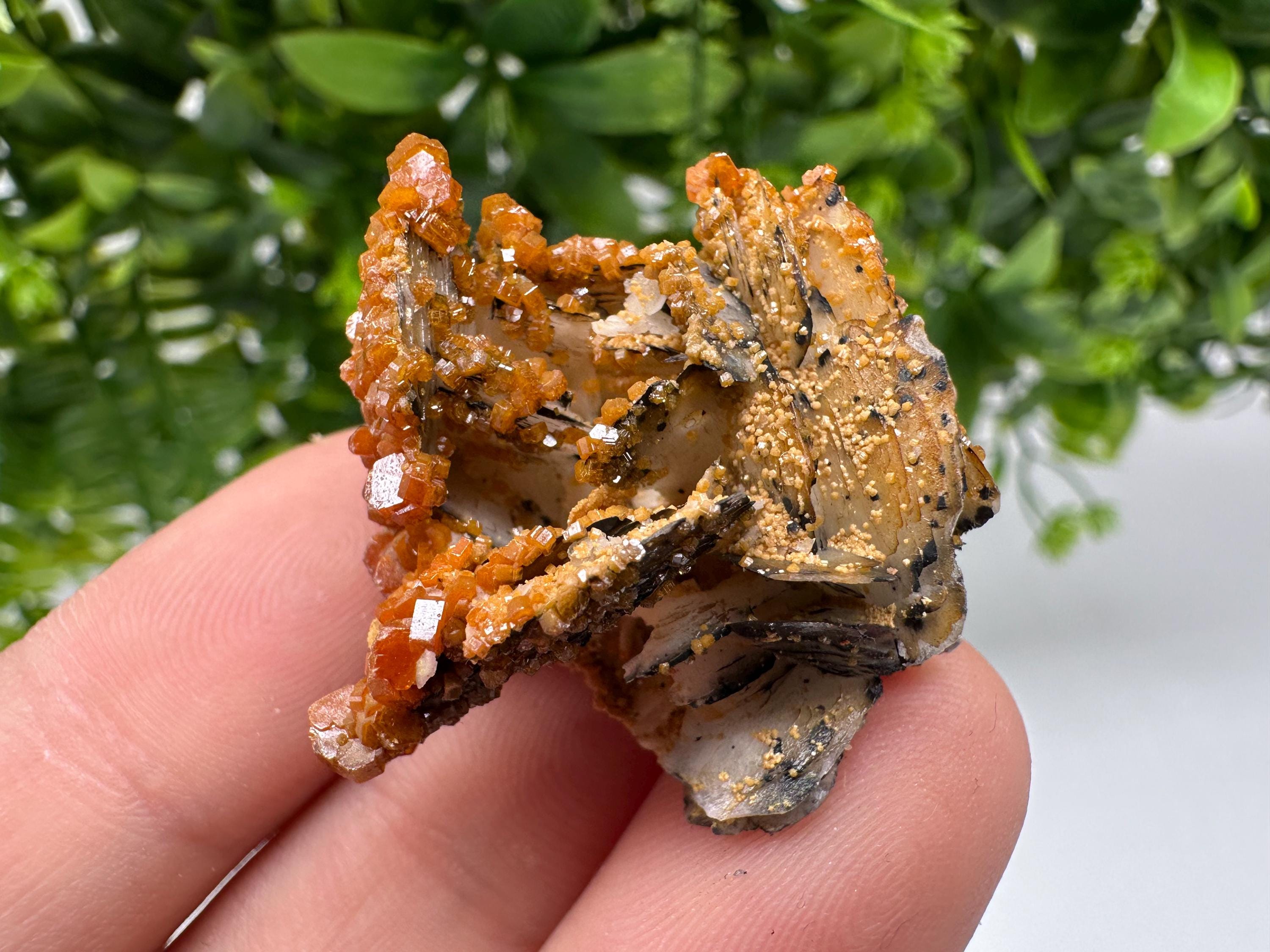 Red Vanadinite on Barite from Marocco,crystal minerals Speciment cluster Vanadinite crystal Vanadinite Geology Vanadinite cluster minerals