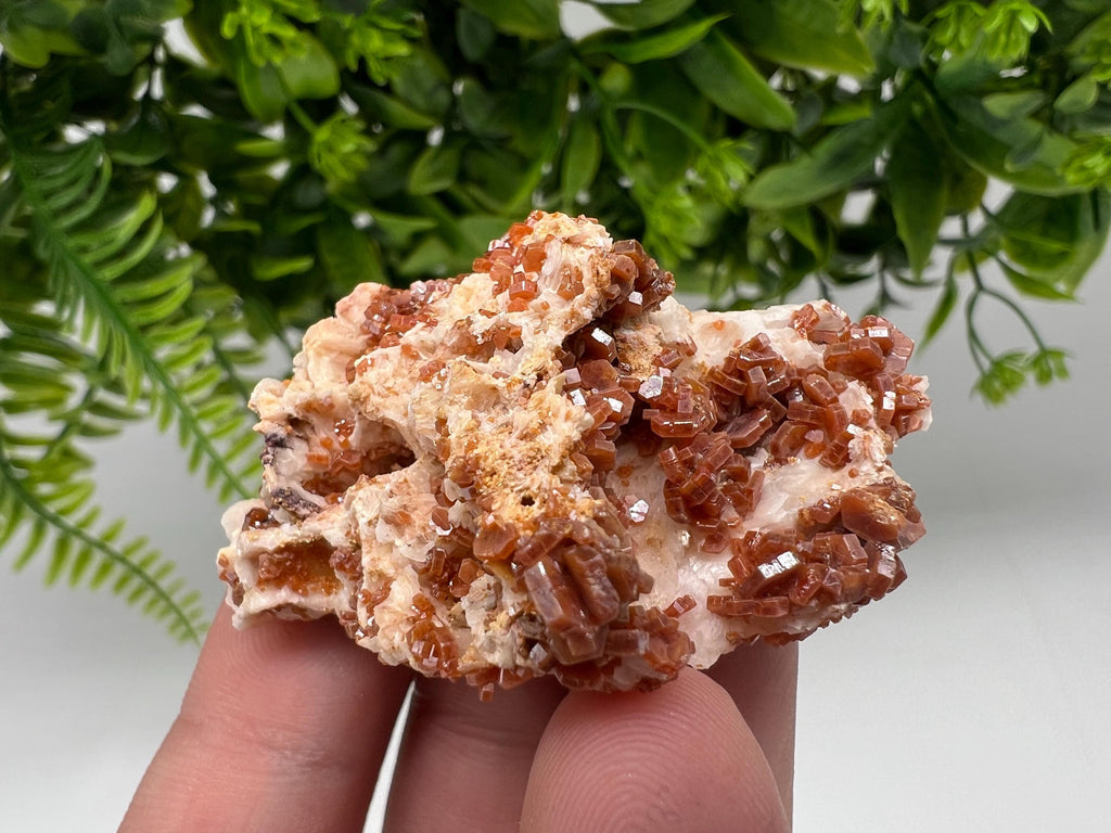 Red Vanadinite on Barite from Marocco,crystal minerals Speciment cluster Vanadinite crystal Vanadinite Geology Vanadinite cluster minerals