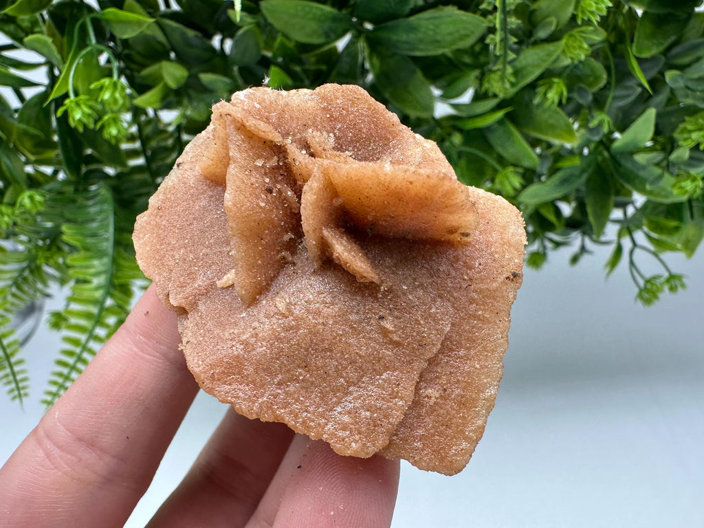 Natural Desert Rose Crystal - Root Chakra Healing Selenite Stone
