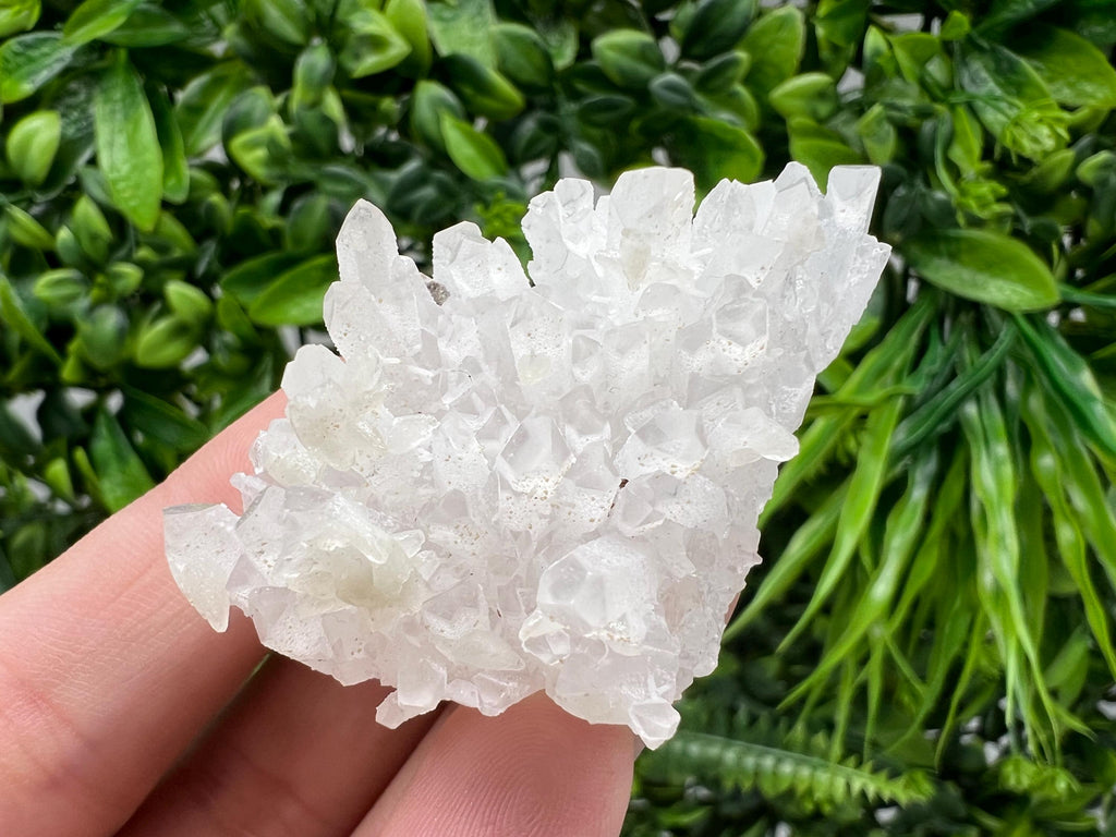 Transparent Quartz on Chlorite Matrix, Borieva Mine, Bulgaria