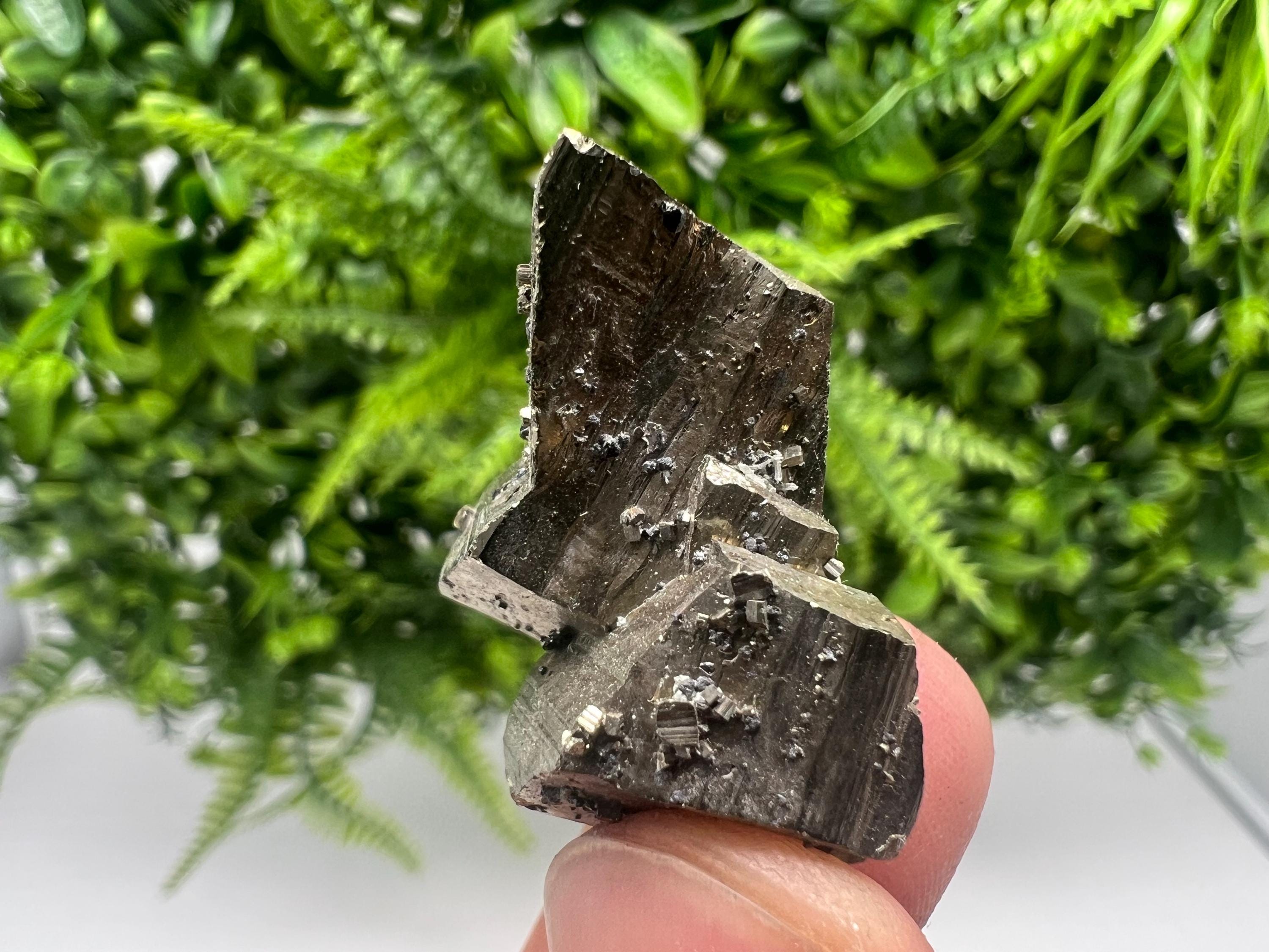 Mini Rainbow Pyrite Cluster: Borieva Mine, Bulgaria
