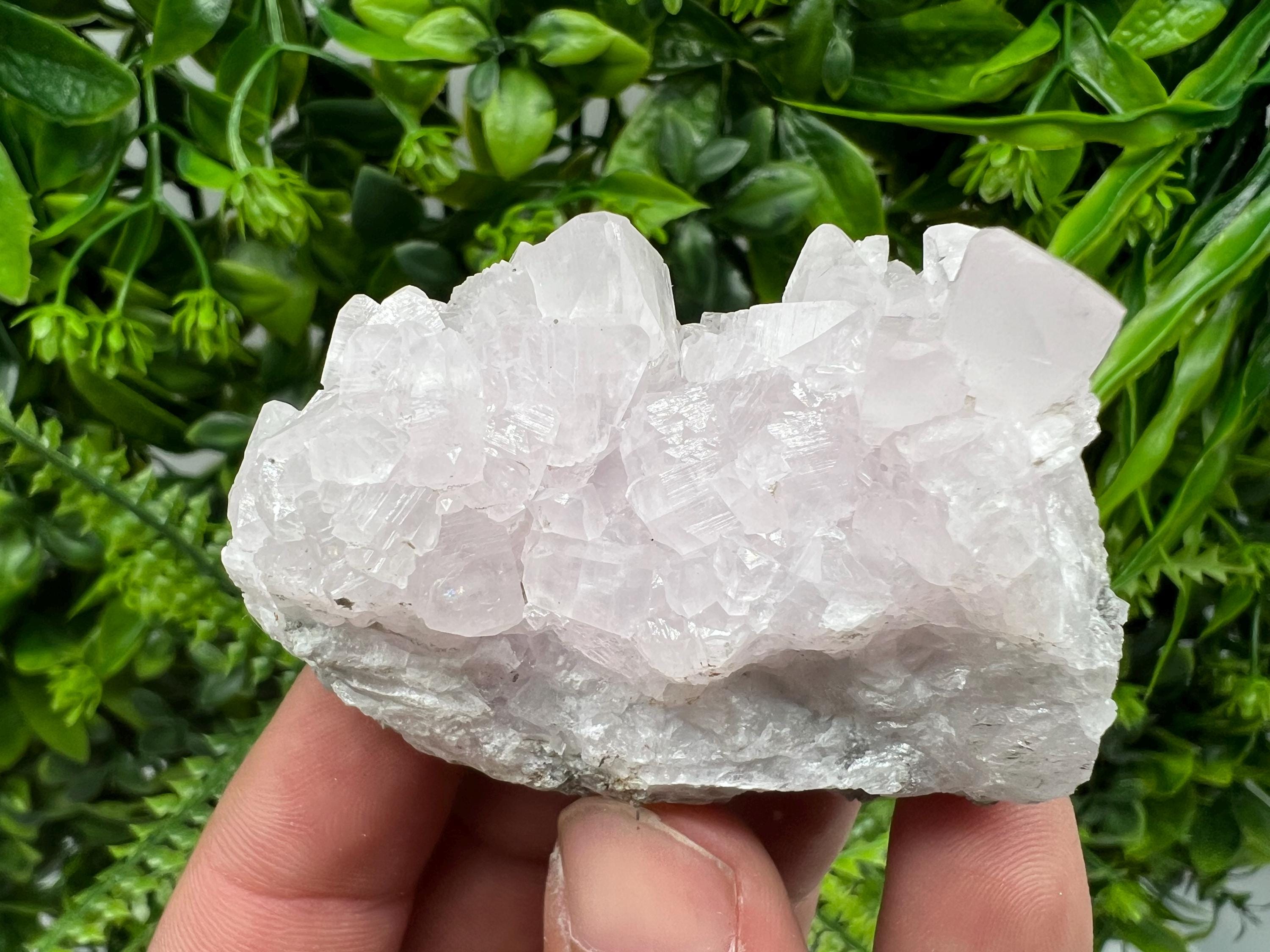 UV Reactive Mangano Calcite Crystal: Androvo Mine, Bulgaria