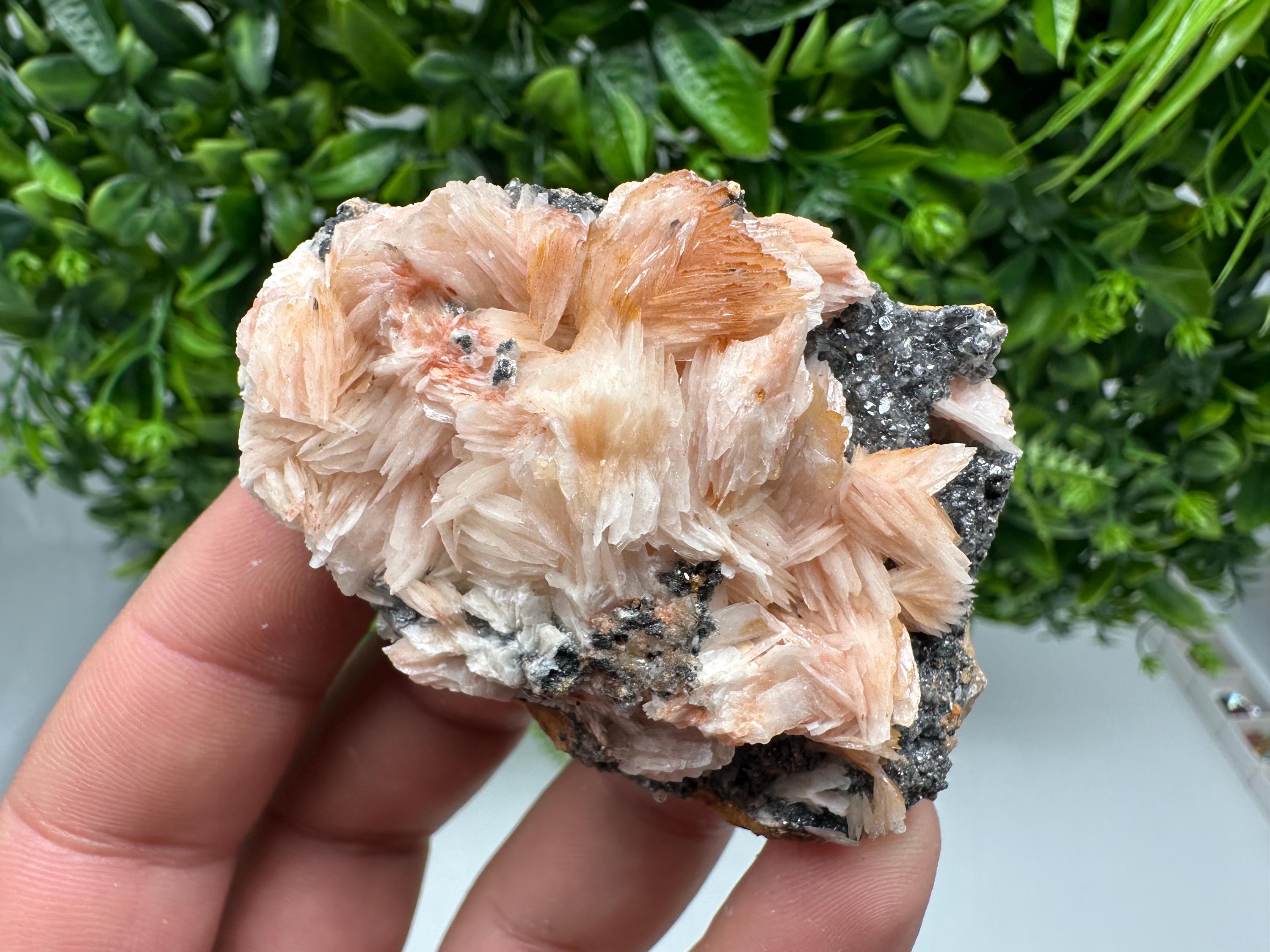 Wonderful Baryte with Cerussite on Galena from Morocco,Crystal, Mineral,Specimen,Cluster,Crystals,Barite Crystal,Cerussite Crystal,Specimen