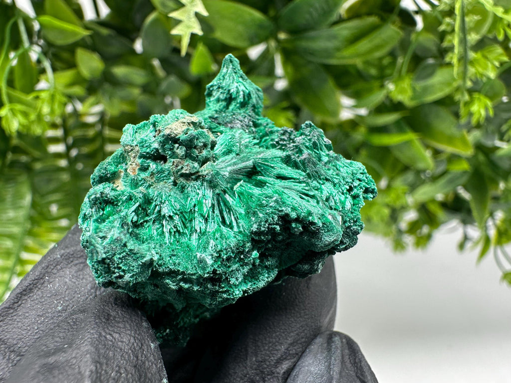 Malachite Crystal from Congo,Minerals,Crystals from Congo,Green Malachite, Malachite,Natural Malachite,Malachite Stone,Chakra, Specimens