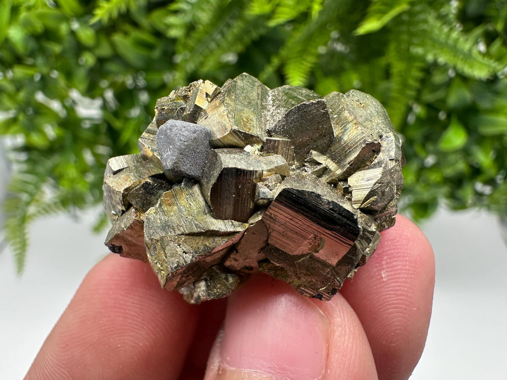 Rare crystallisation Pyrite,Borieva mine,Bulgaria,floating Pyrite,golden Pyrite,Pyrite cluster,mini Collection specimen,Rainbow Pyrite