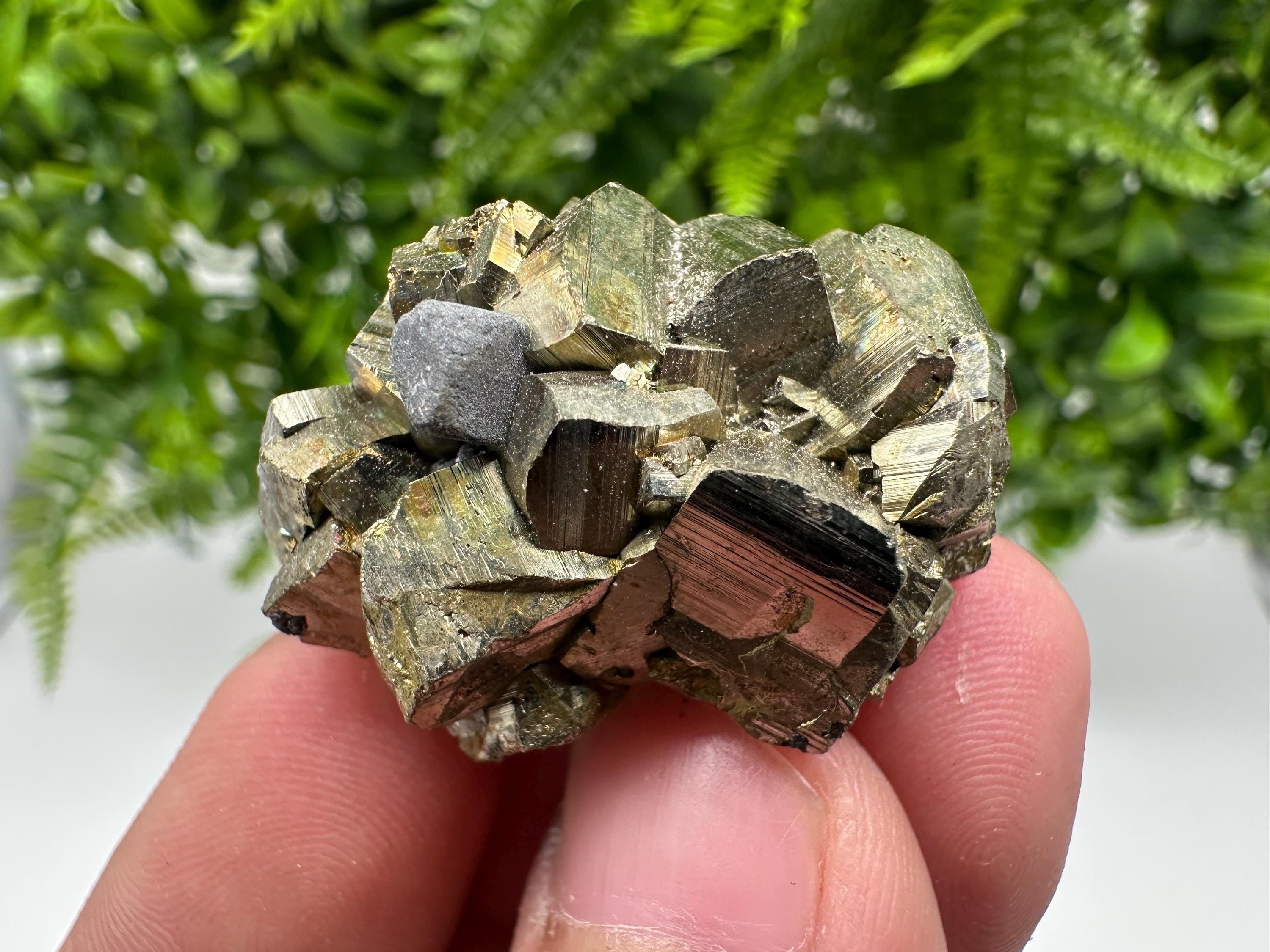 Rare crystallisation Pyrite,Borieva mine,Bulgaria,floating Pyrite,golden Pyrite,Pyrite cluster,mini Collection specimen,Rainbow Pyrite