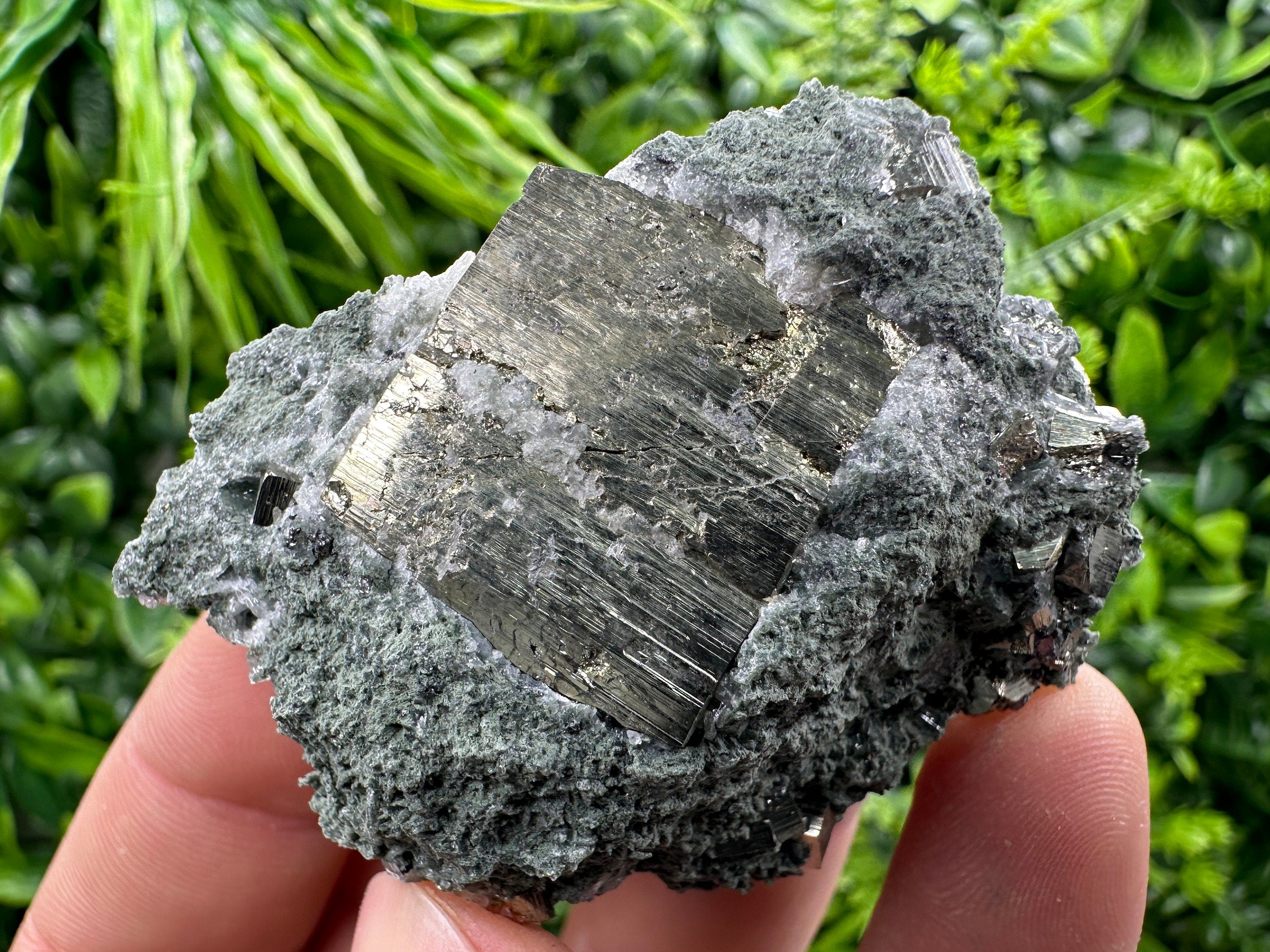 Pyrite with Chlorite: Natural Mineral Souvenir from Bulgaria