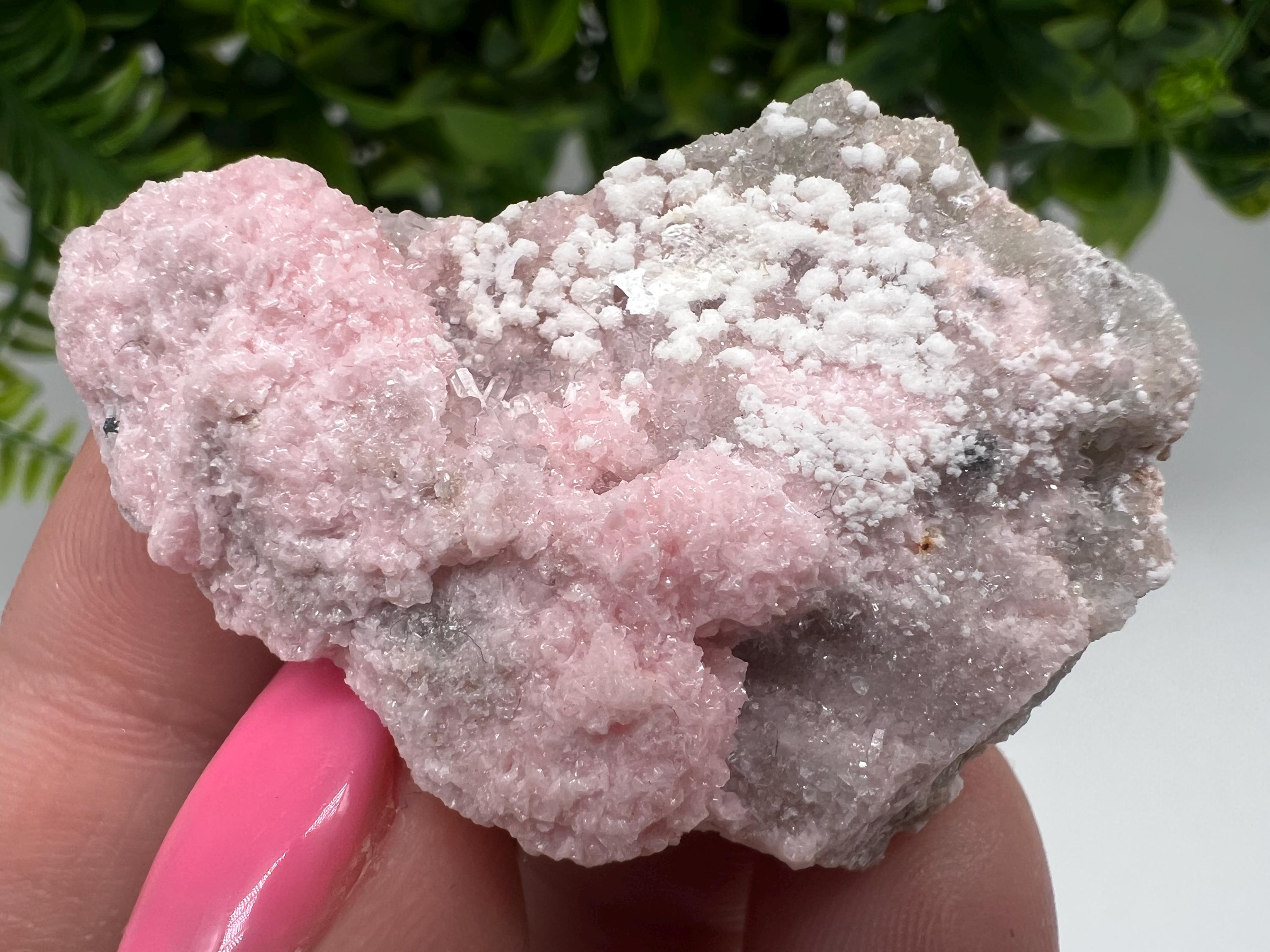 RARE Rhodochrosite with White Calcite, Starnica Mine, Bulgaria
