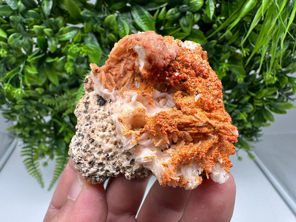 Red Vanadinite on Barite from Marocco,crystal minerals Speciment cluster Vanadinite crystal Vanadinite Geology Vanadinite cluster minerals