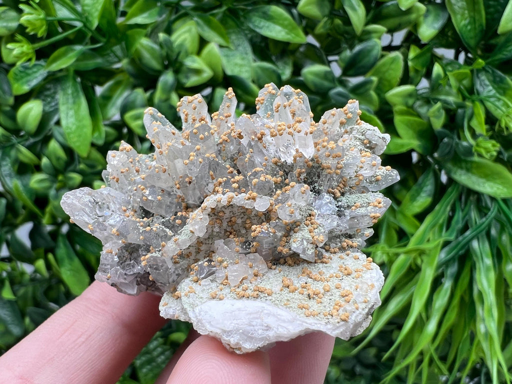 Quartz whit Brown Rhodochrosite from Djurcovo mine,Bulgaria,Quartz,Rhodochrosite cluster,natural mineral,collection crystal,mineral specimen