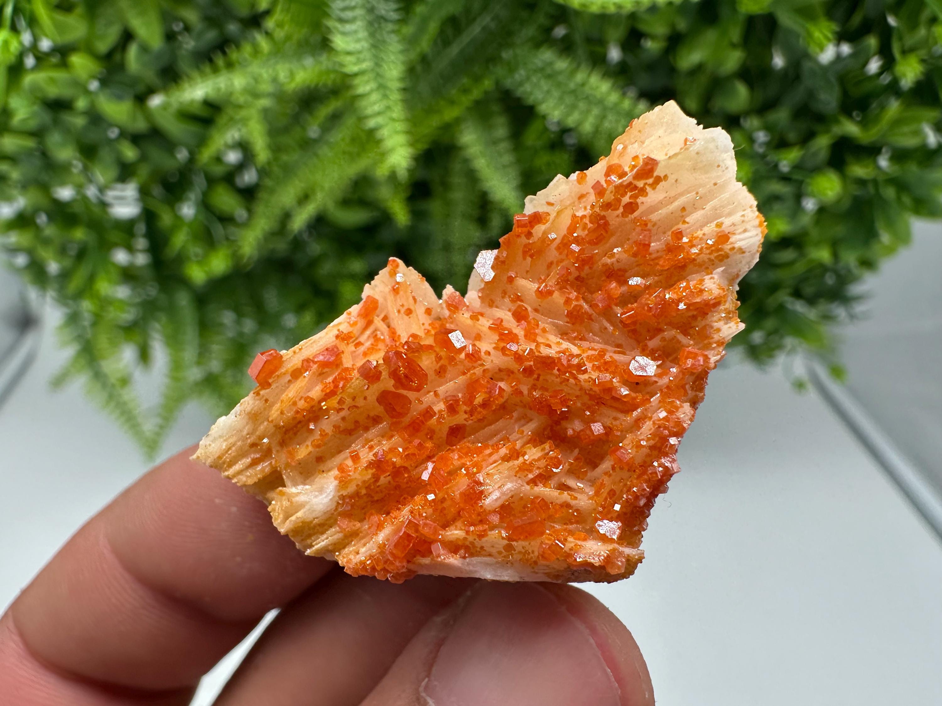 Red Vanadinite on Barite from Marocco,crystal minerals Speciment cluster Vanadinite crystal Vanadinite Geology Vanadinite cluster minerals