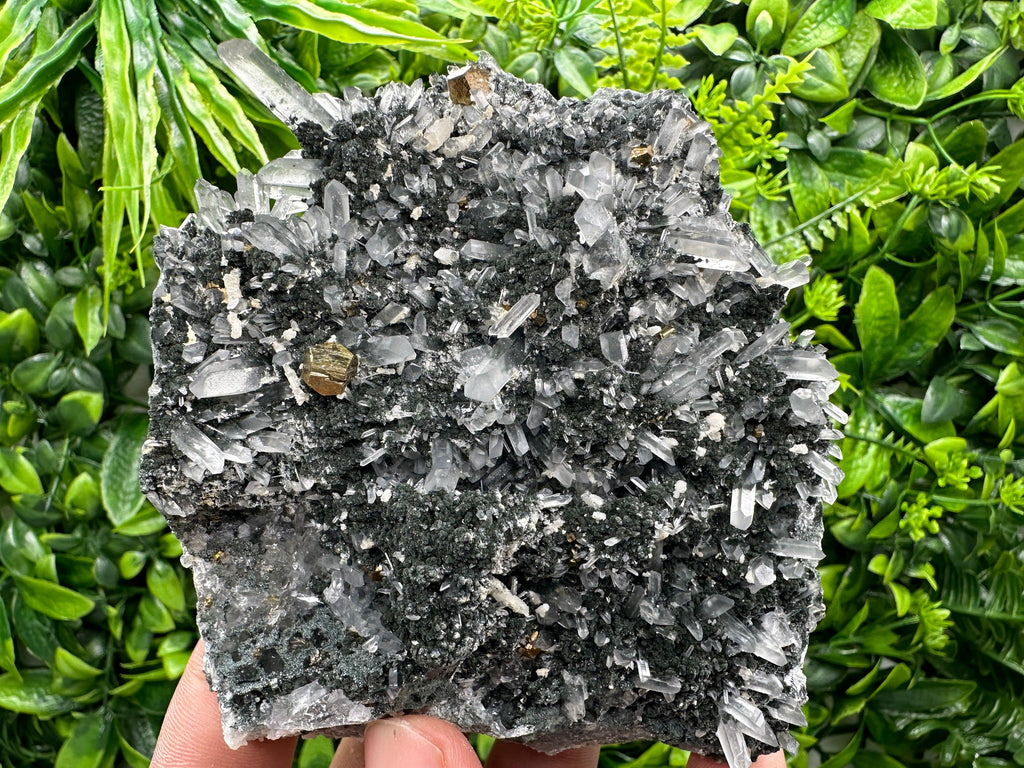 Pyrite on Quartz with Chlorite: Borieva Mine Crystal Decor