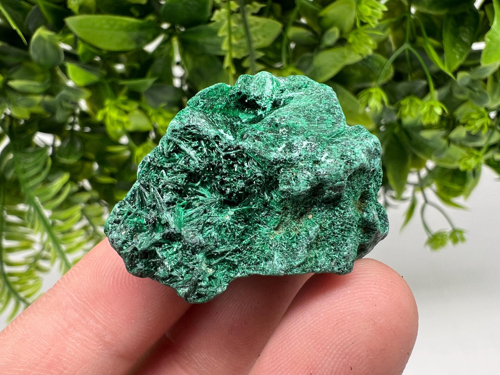 Malachite Crystal from Congo,Minerals,Crystals from Congo,Green Malachite, Malachite,Natural Malachite,Malachite Stone,Chakra, Specimens