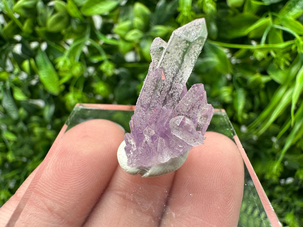 Phantom Amethyst Crystal with Cerussite, Bulgarian Mineral Specimen