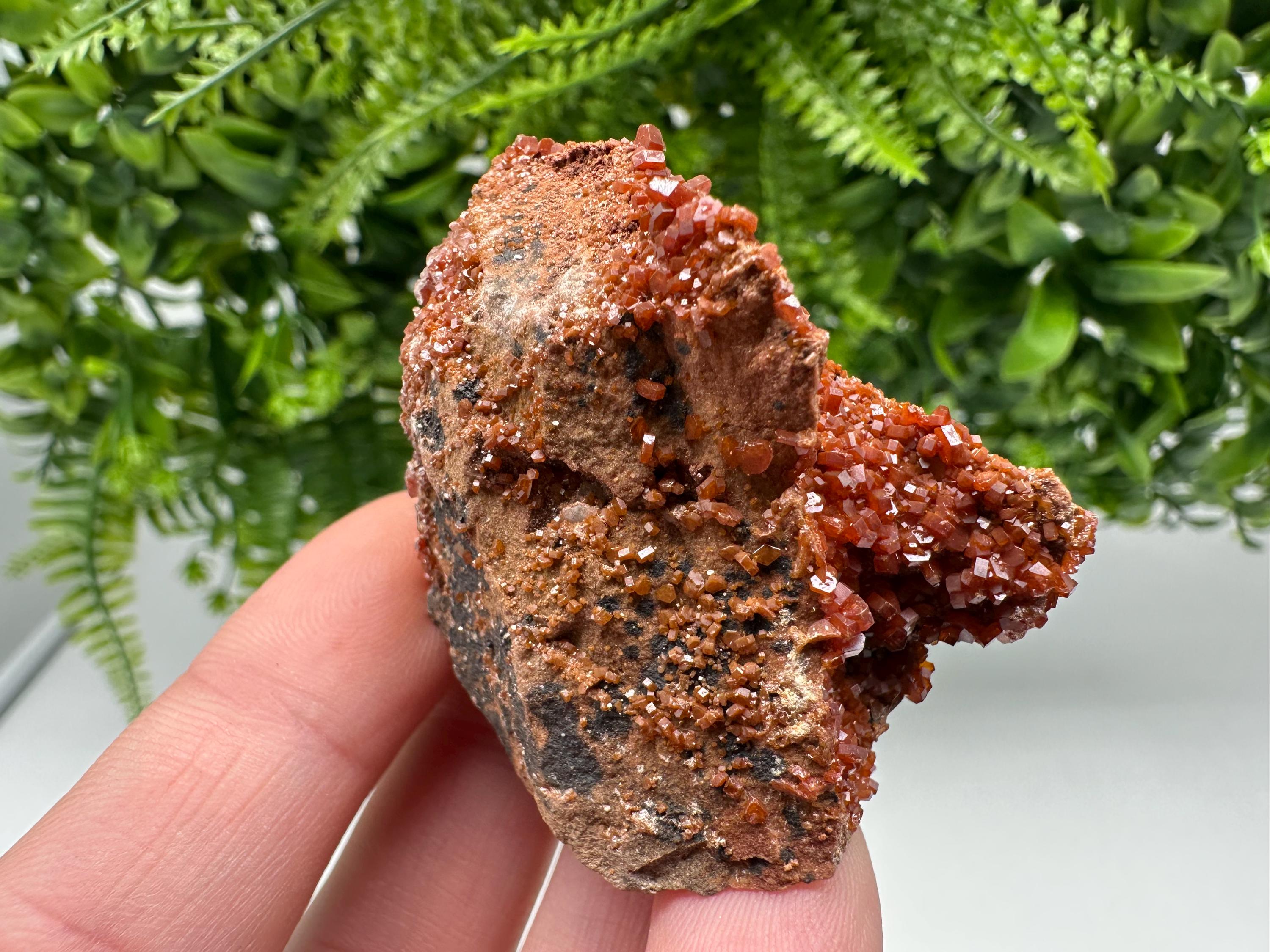 Red Vanadinite on Matrix from Marocco,crystal minerals Speciment cluster Vanadinite crystal Vanadinite Geology Vanadinite cluster minerals