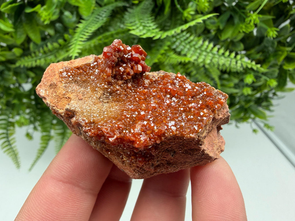 Red Vanadinite on Matrix from Marocco,crystal minerals Speciment cluster Vanadinite crystal Vanadinite Geology Vanadinite cluster minerals