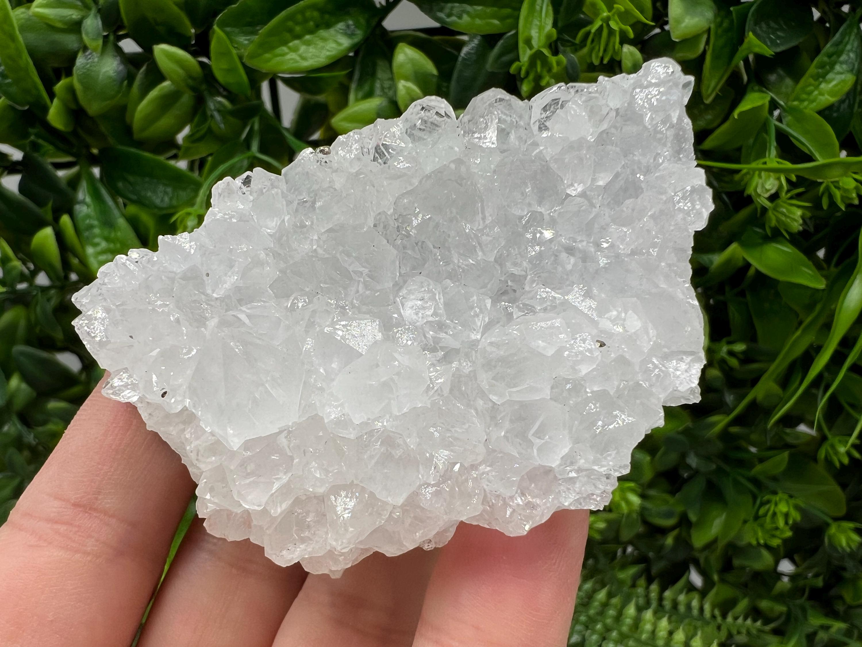 Transparent Quartz on Chlorite Matrix, Borieva Mine, Bulgaria