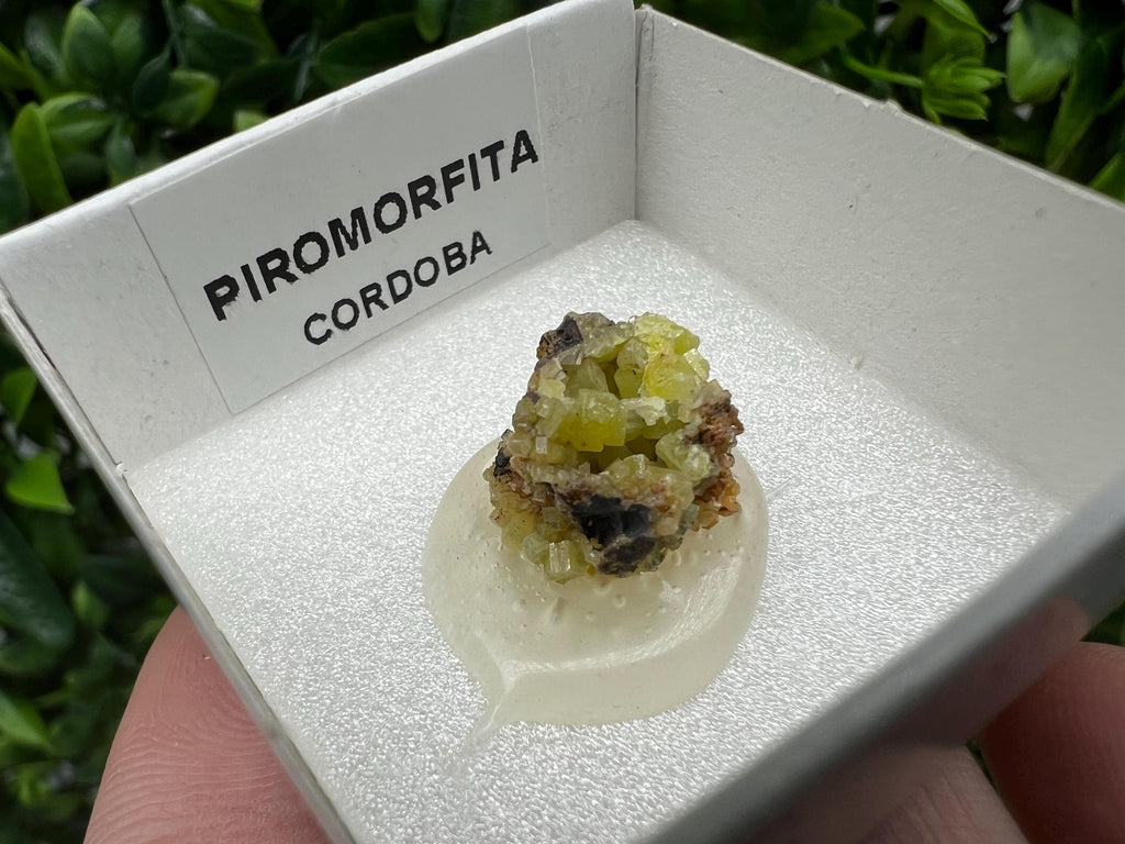 Pyromorphite Stone / Pyromorphite on Matrix / Pyromorphite Crystal / Raw Crystal / Pyromorphite Cluster / Rough Pyromorphite / Pyromorphite