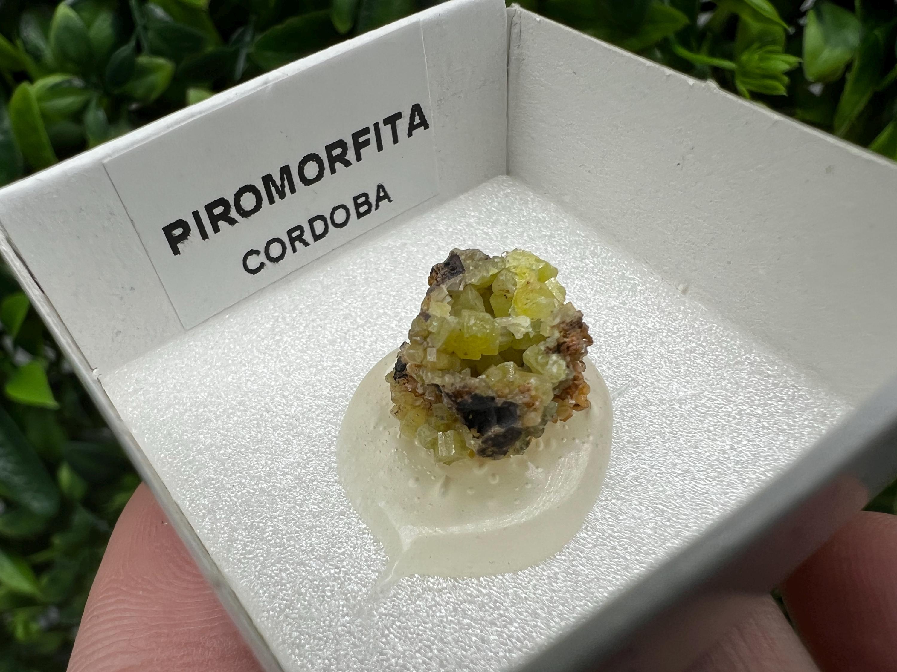 Pyromorphite Stone / Pyromorphite on Matrix / Pyromorphite Crystal / Raw Crystal / Pyromorphite Cluster / Rough Pyromorphite / Pyromorphite