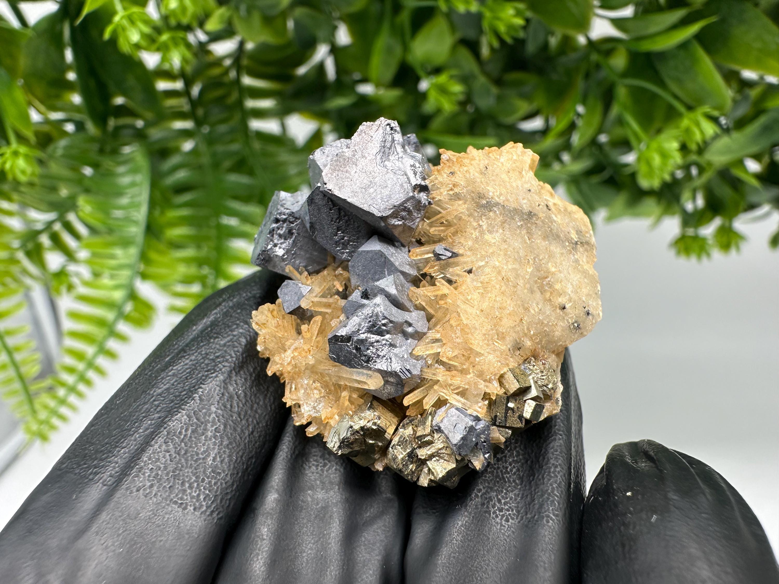 Quartz with Pyrite,Galena,iron oxide Specimen: Borieva Mine Crystal Decor