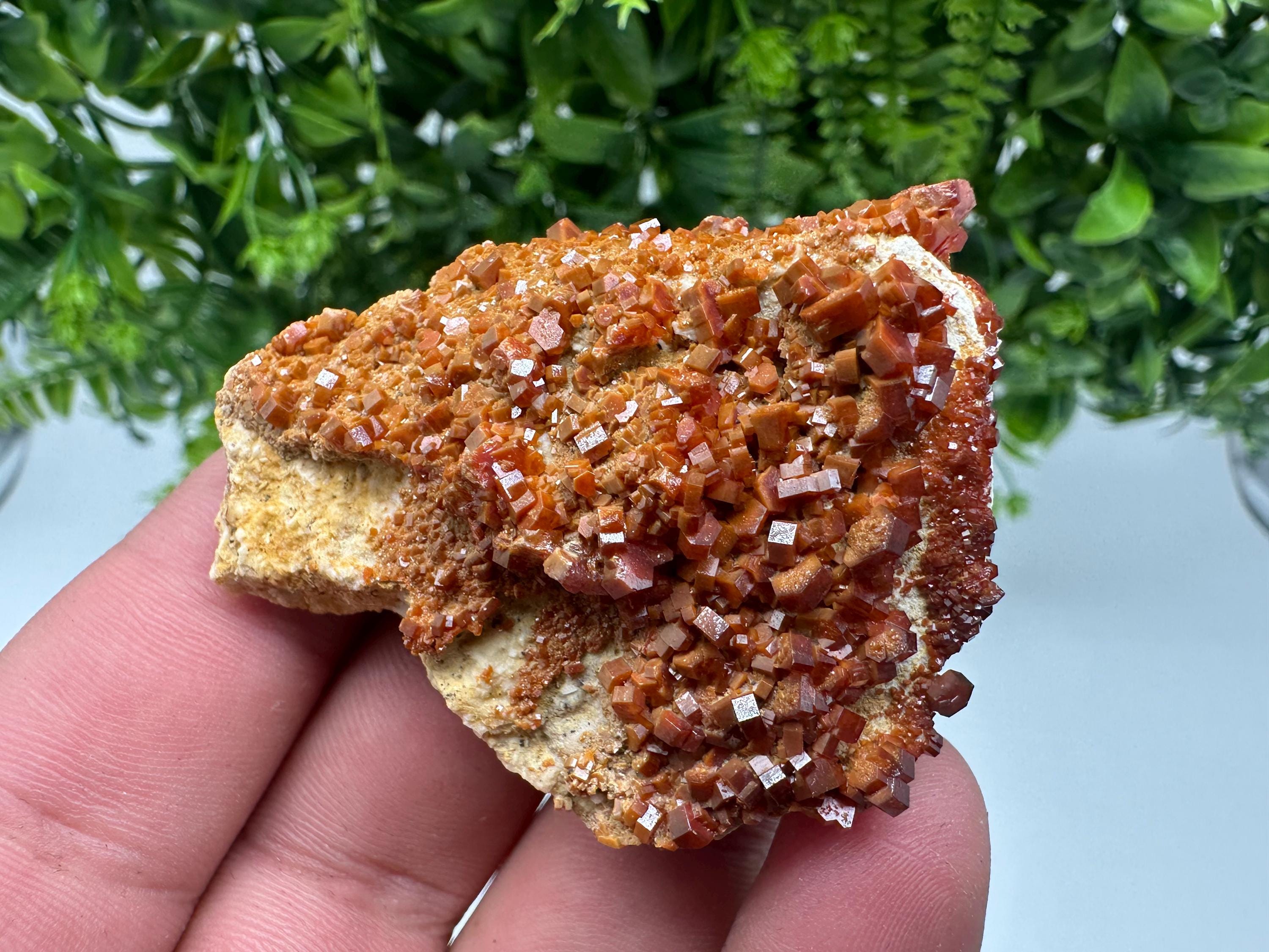 Red Vanadinite on Barite, Moroccan Crystal Mineral Specimen