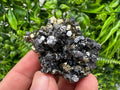 Galena on Pyrite Mineral Specimen, Borieva Mine, Bulgaria