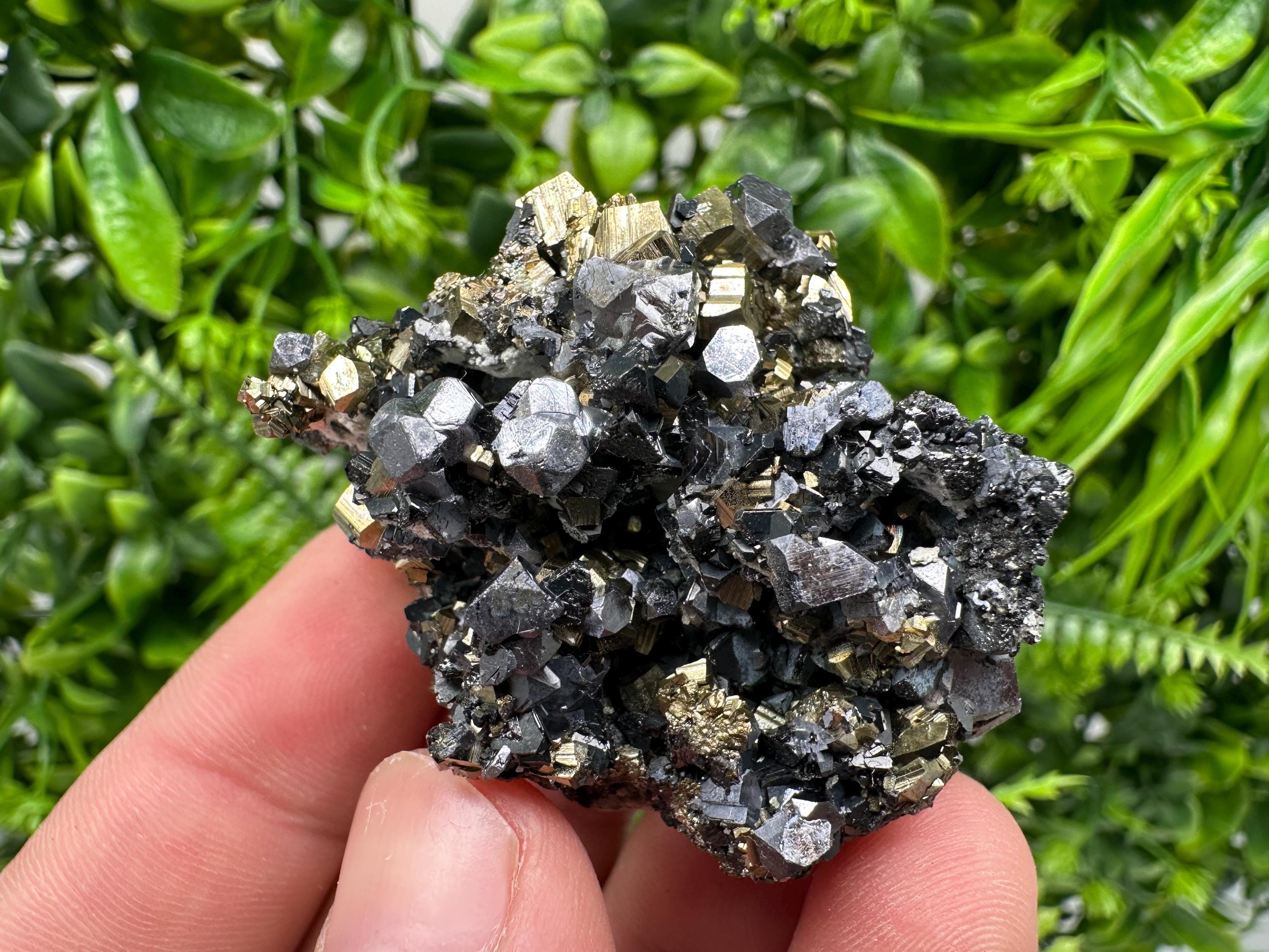 Galena on Pyrite Mineral Specimen, Borieva Mine, Bulgaria