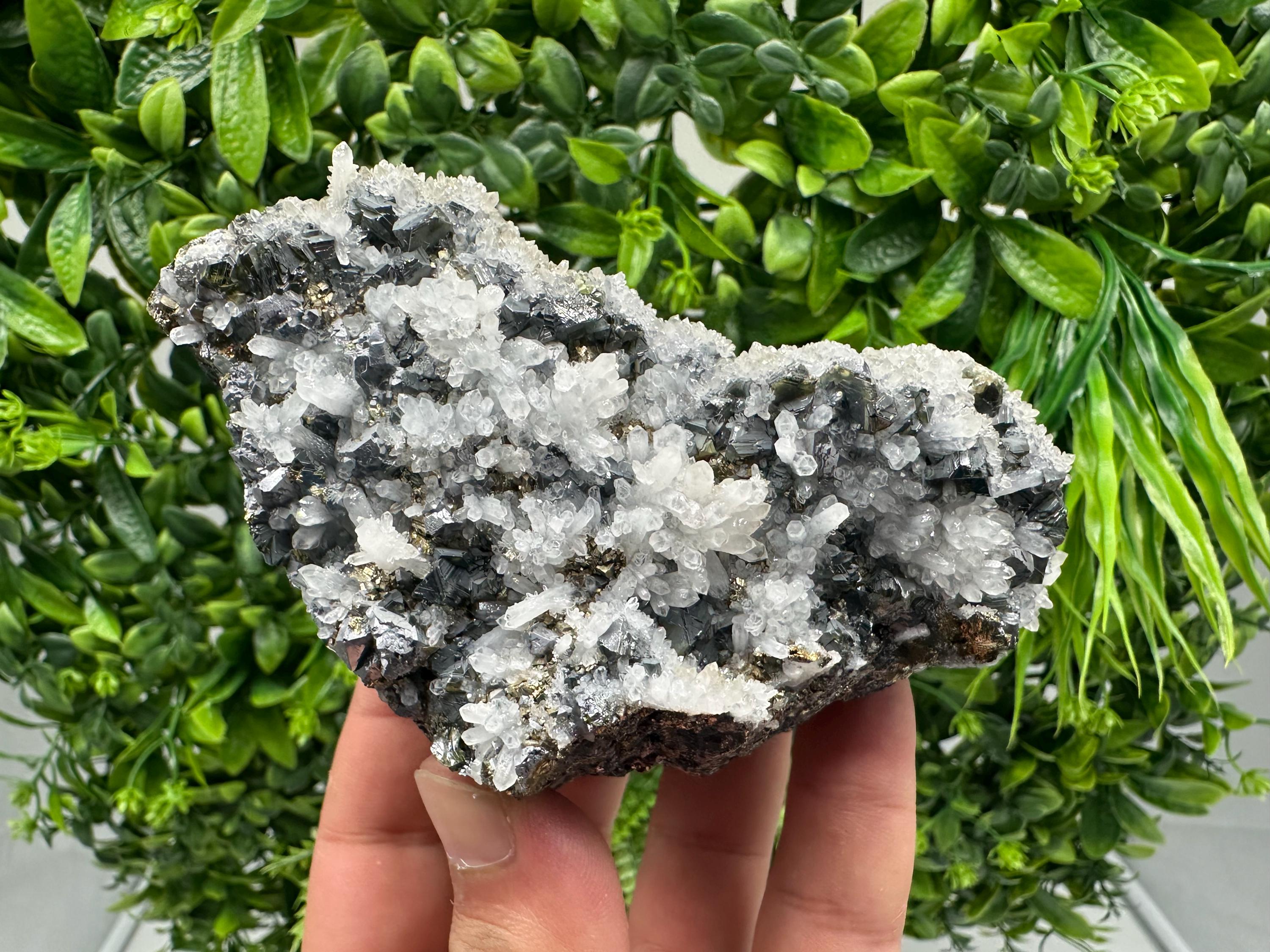 Rare Galena, Sphalerite, Pyrite Mineral Specimen: Krushev Dol Mine, Bulgaria