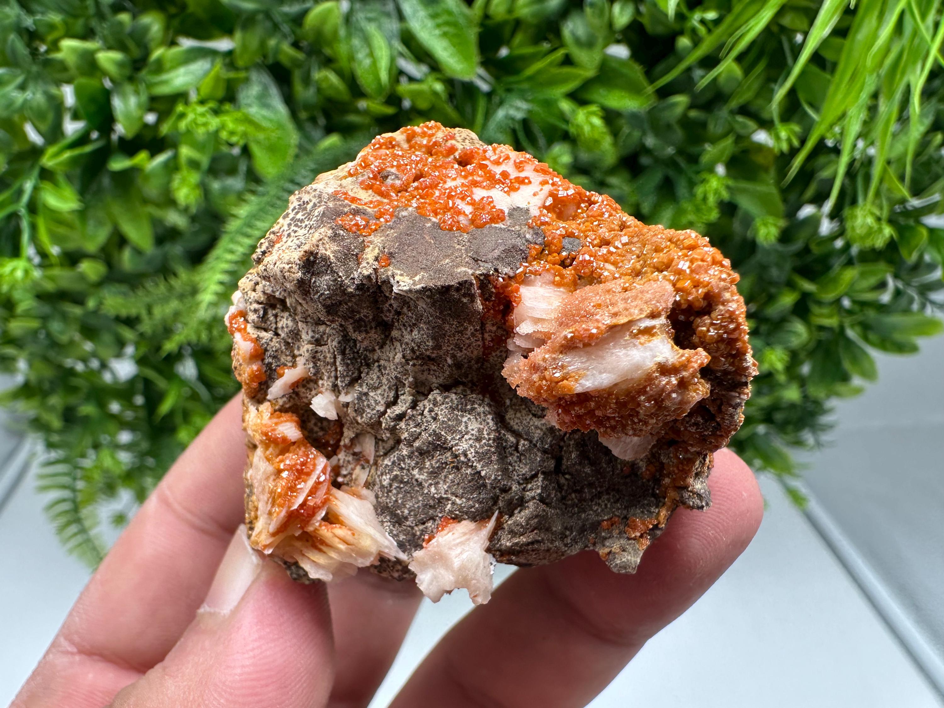 Red Vanadinite on Barite from Marocco,crystal minerals Speciment cluster Vanadinite crystal Vanadinite Geology Vanadinite cluster minerals