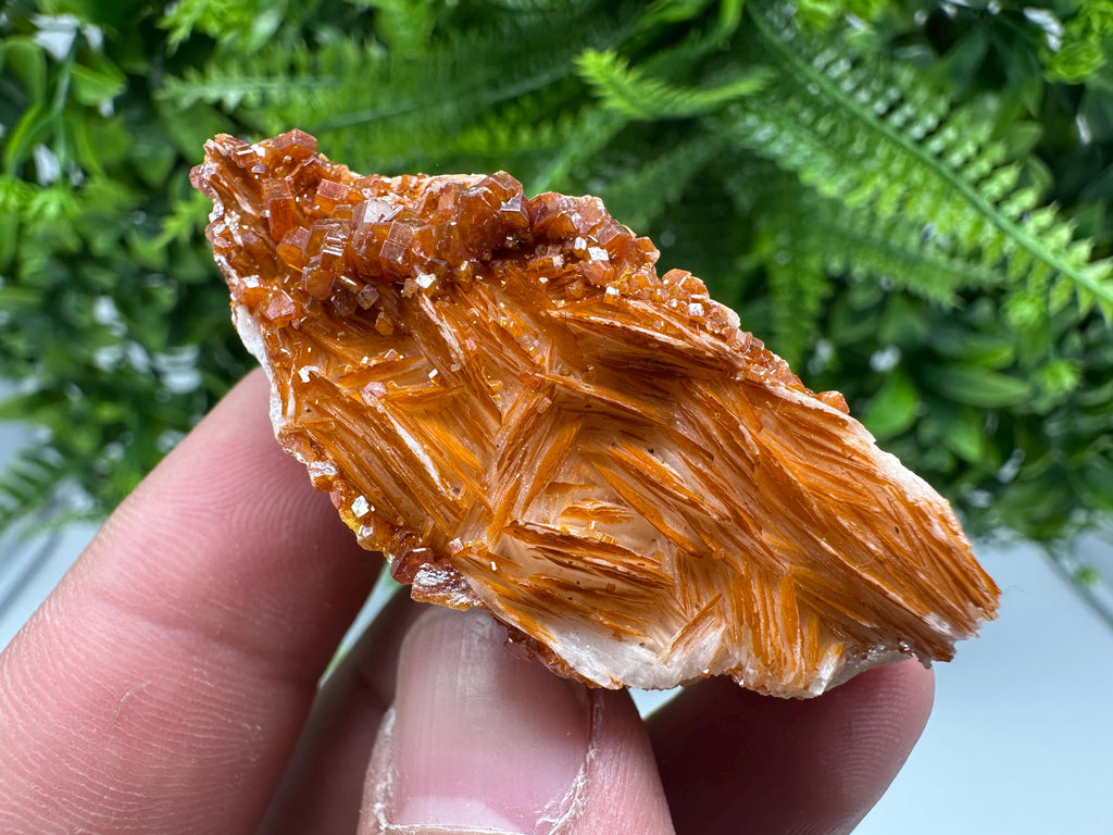 Red Vanadinite on Barite, Morocco Crystal Cluster