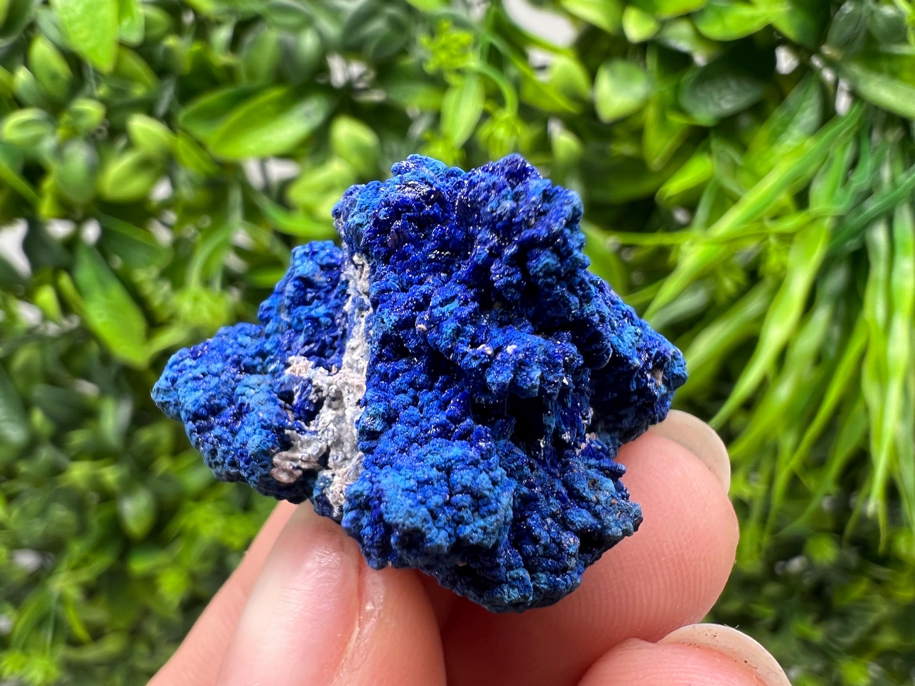 Crystallized Azurite-Kerrouchen,Morocco-Blue Azurite Specimen-High Quality Blue Azurite-Azurite Mineral Specimen, gemmy,lustrous of Azurite