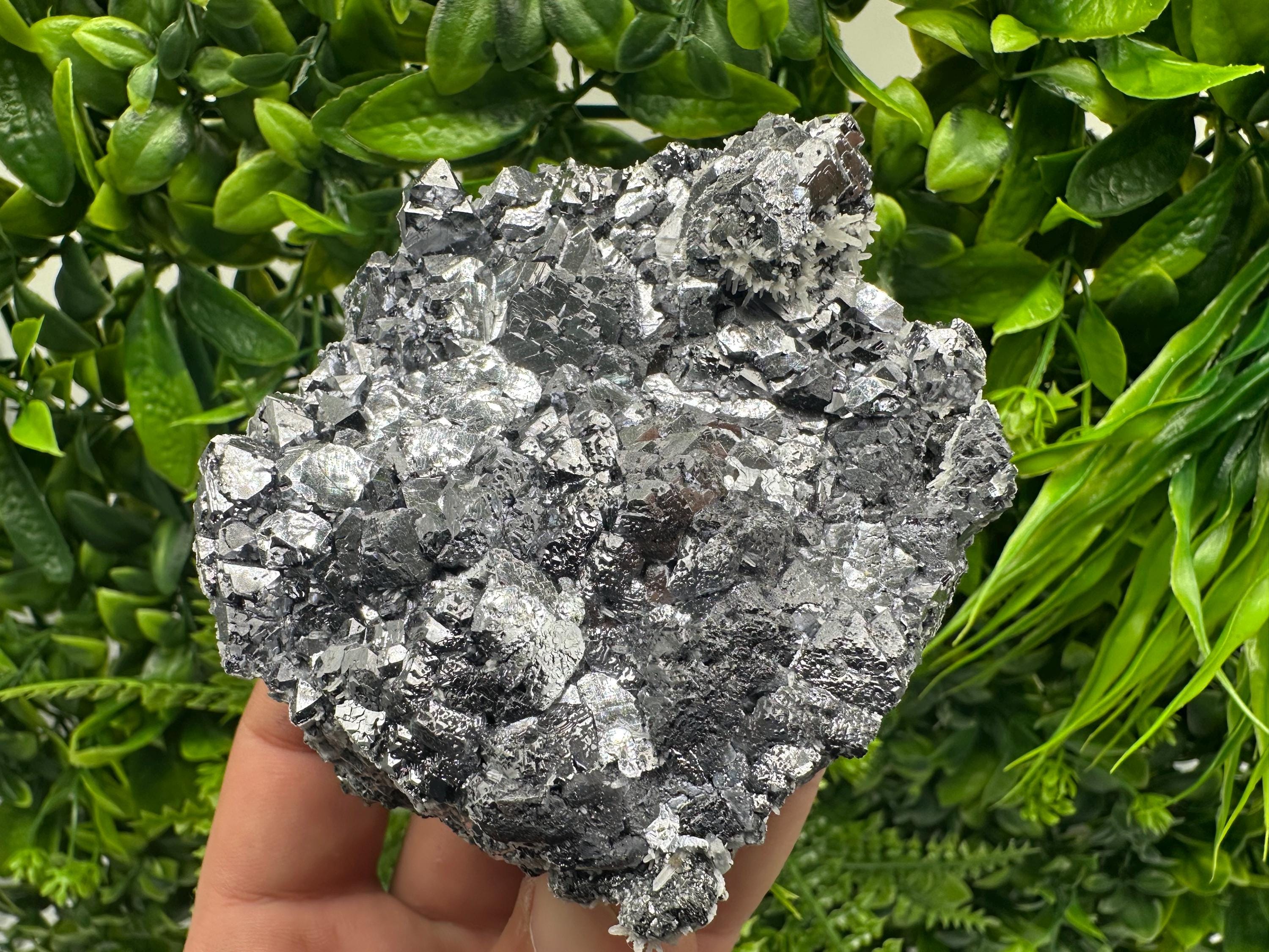 Galena with Quartz Mineral Specimen, Krushev dol Mine, Bulgaria