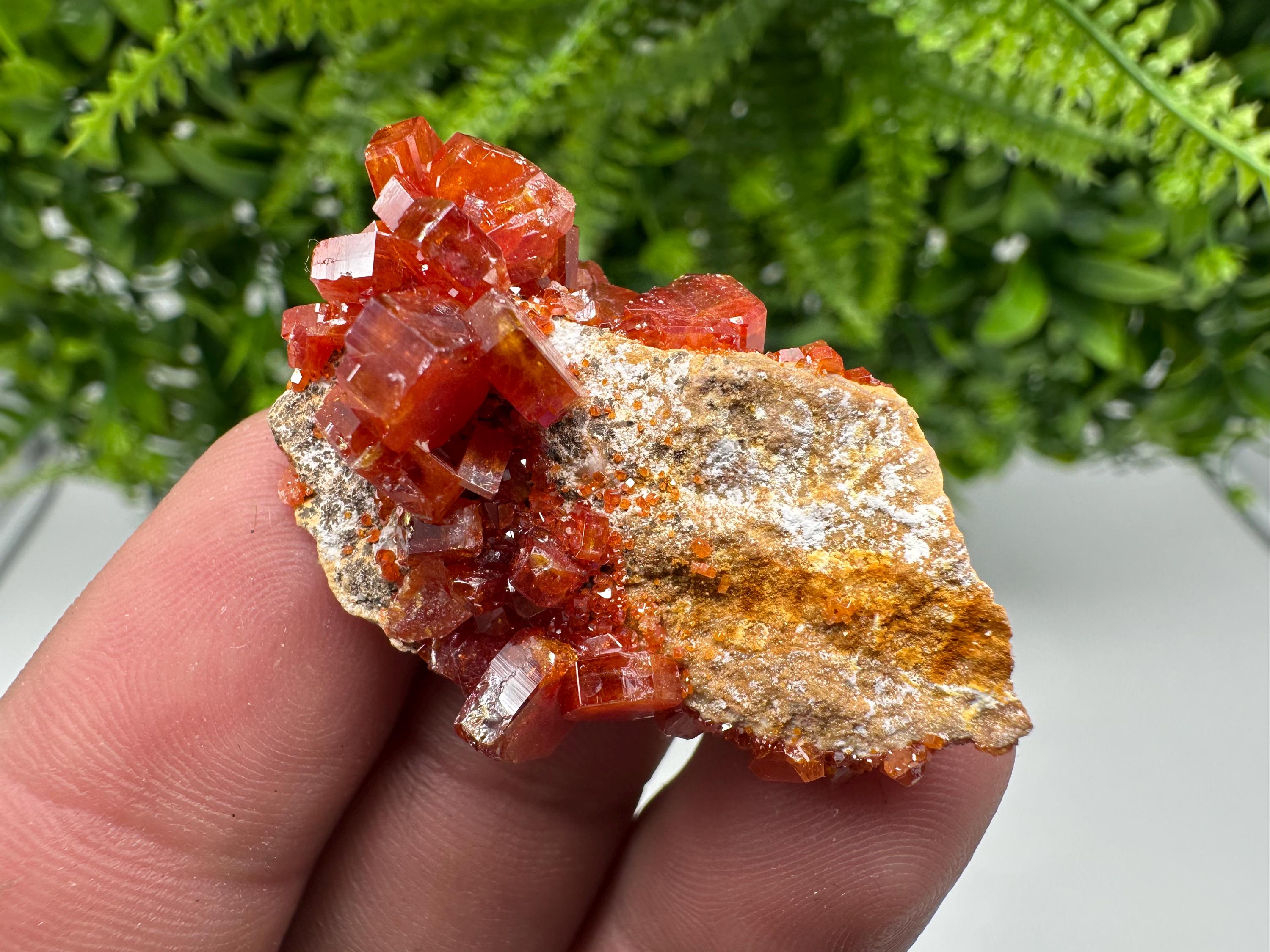 Red Vanadinite on Barite from Marocco,crystal minerals Speciment cluster Vanadinite crystal Vanadinite Geology Vanadinite cluster minerals